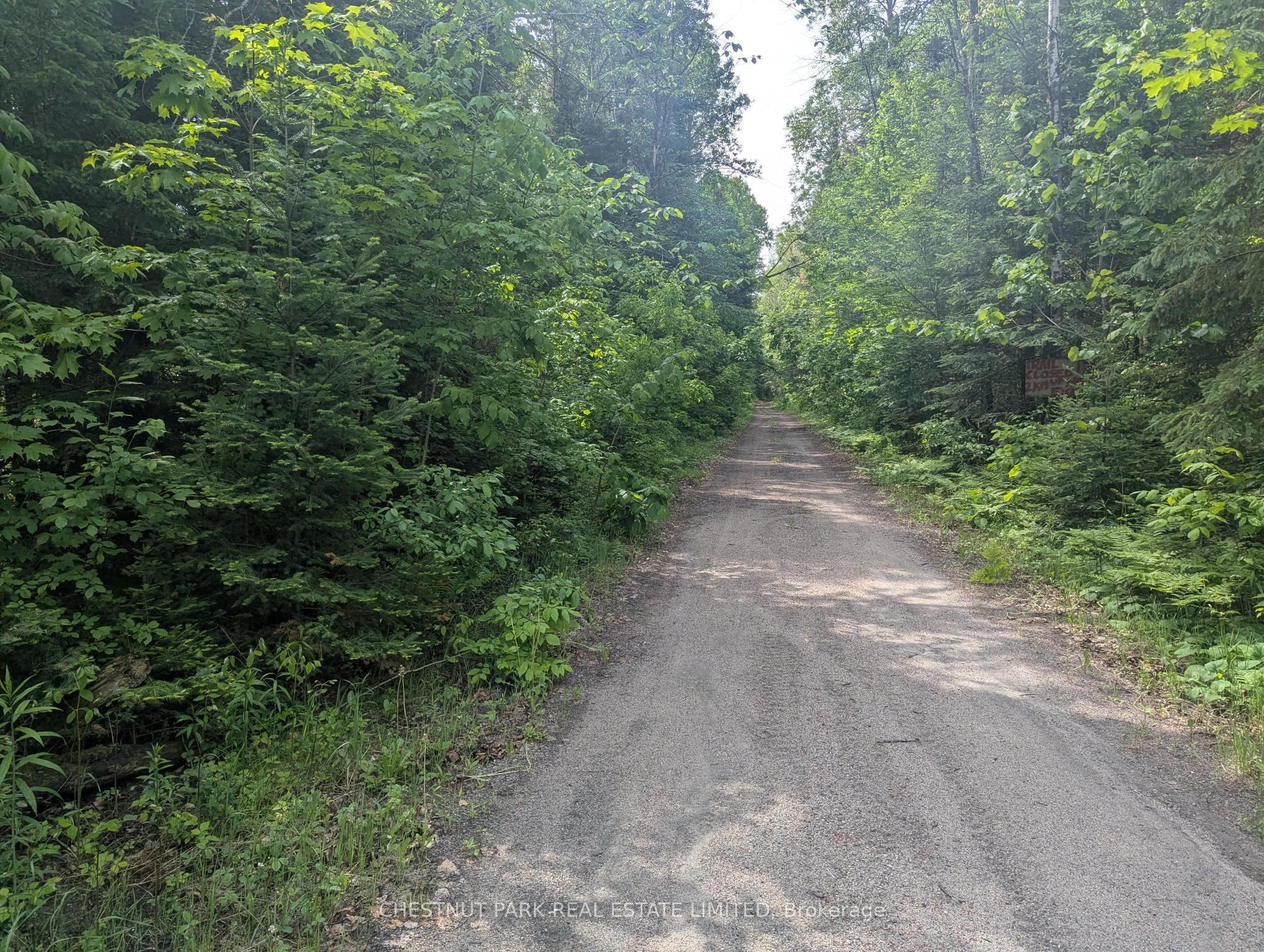0 Highway 503 Highway Property Photo 7