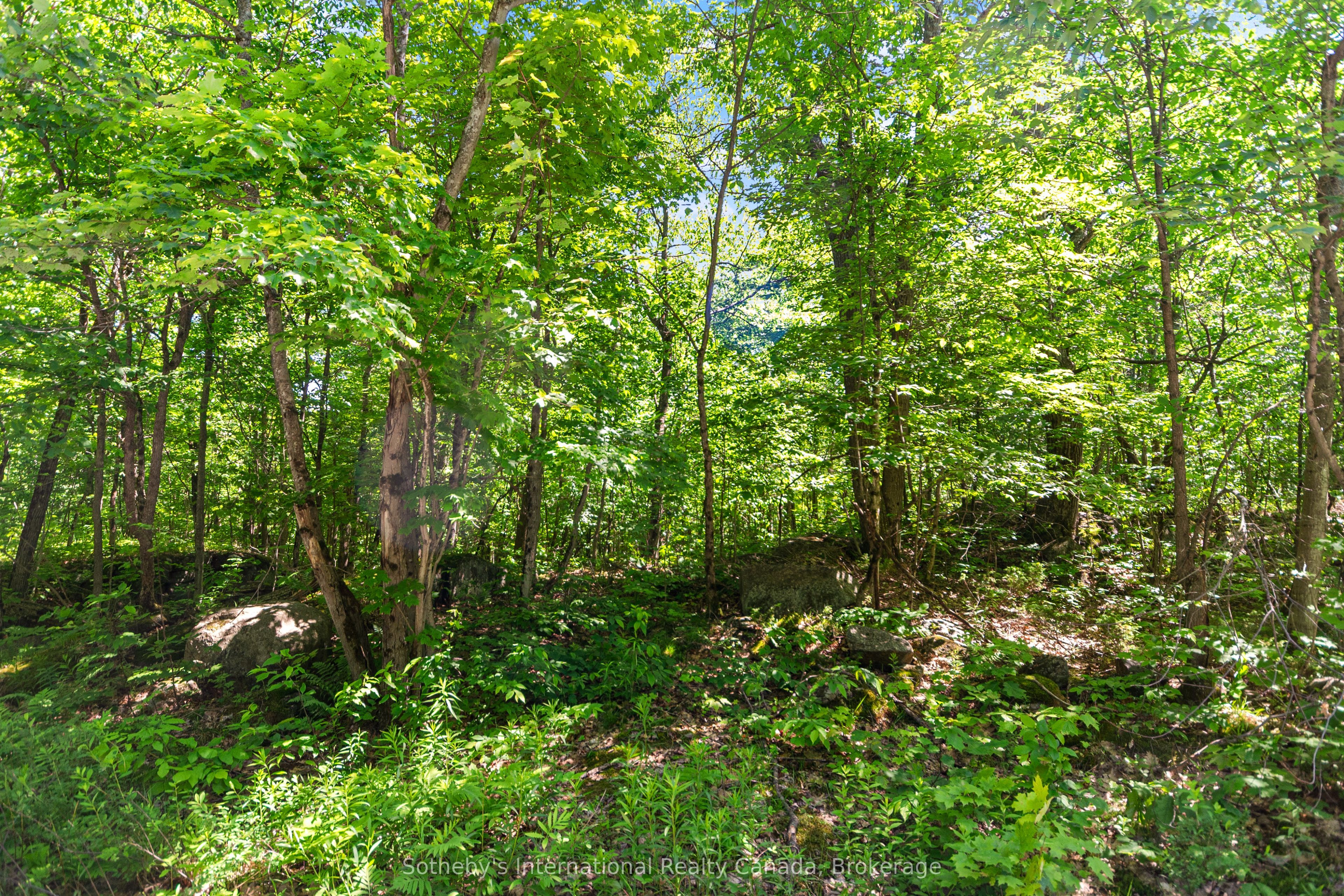 43 Burnside Bridge Road Property Photo 6