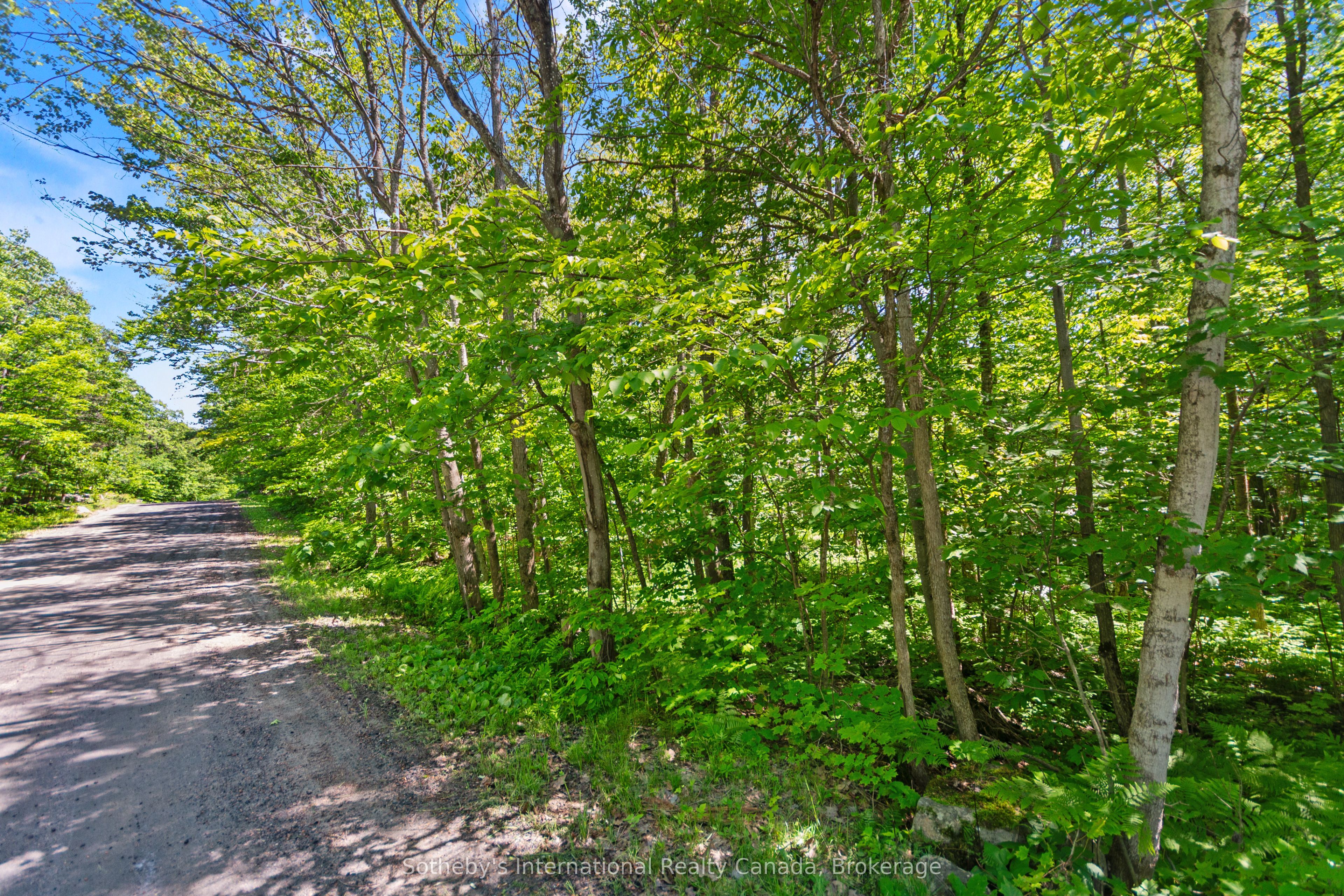 43 Burnside Bridge Road Property Photo 7