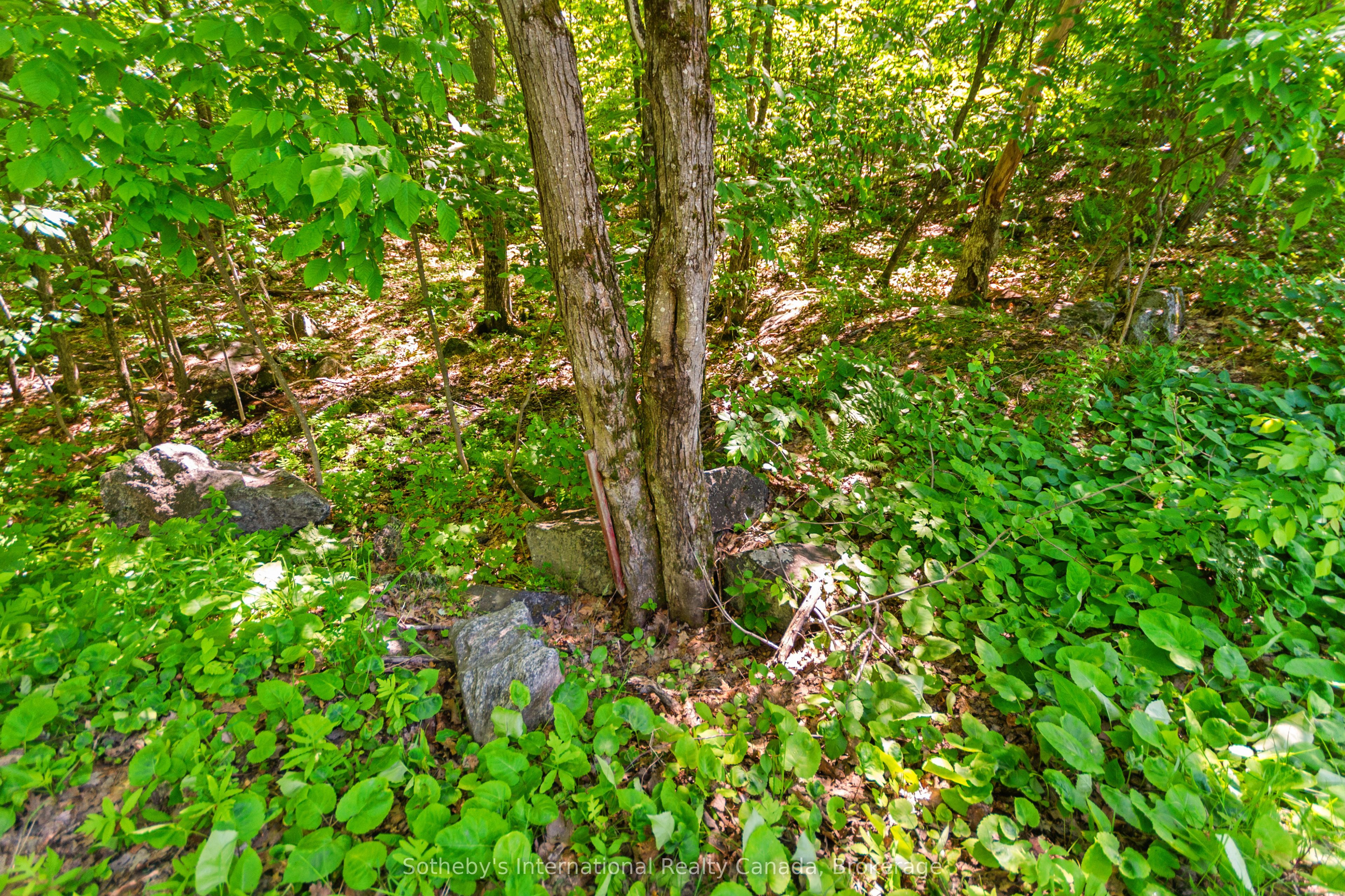 43 Burnside Bridge Road Property Photo 9