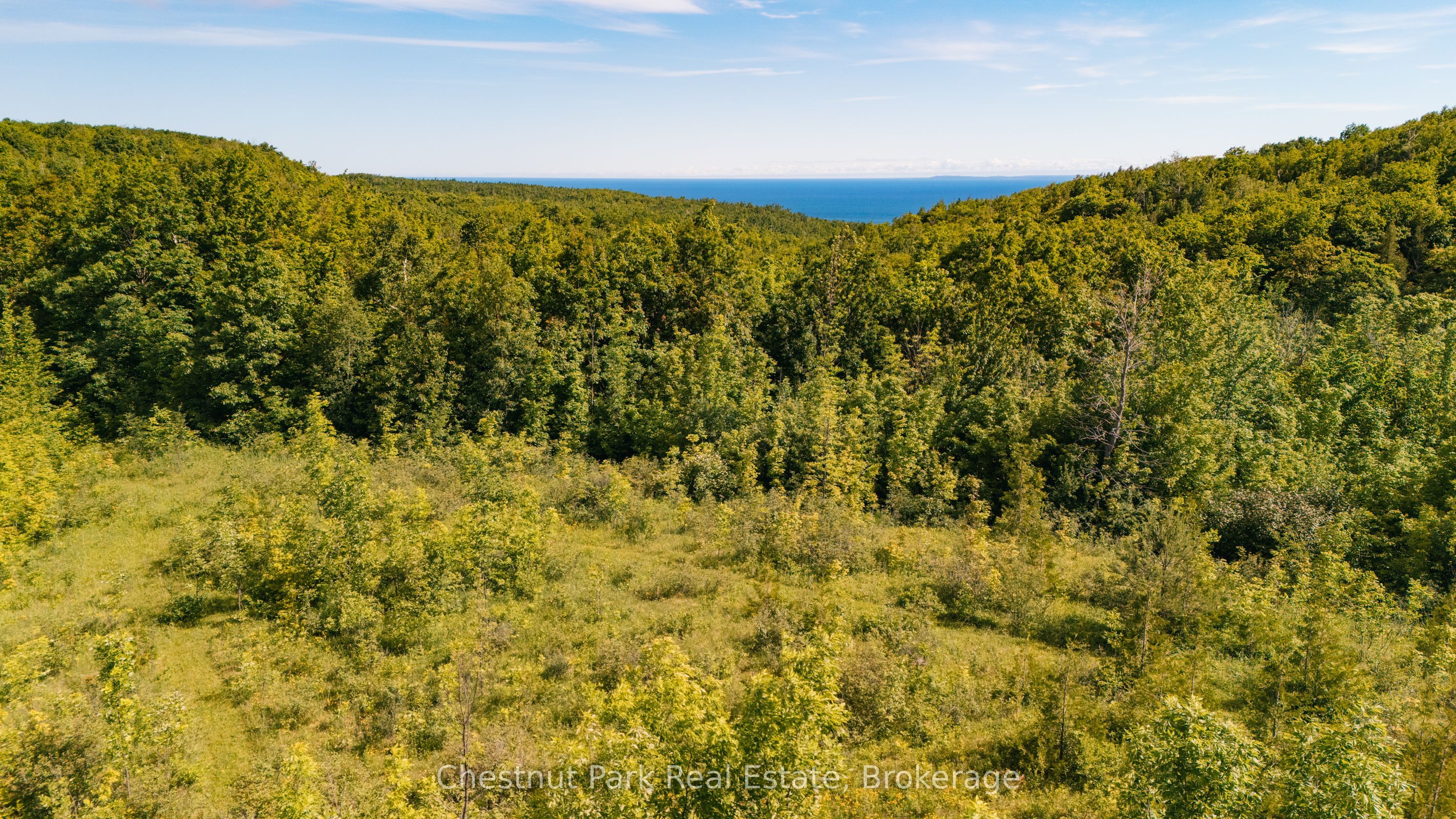 729297 21st Side Road Property Photo 5
