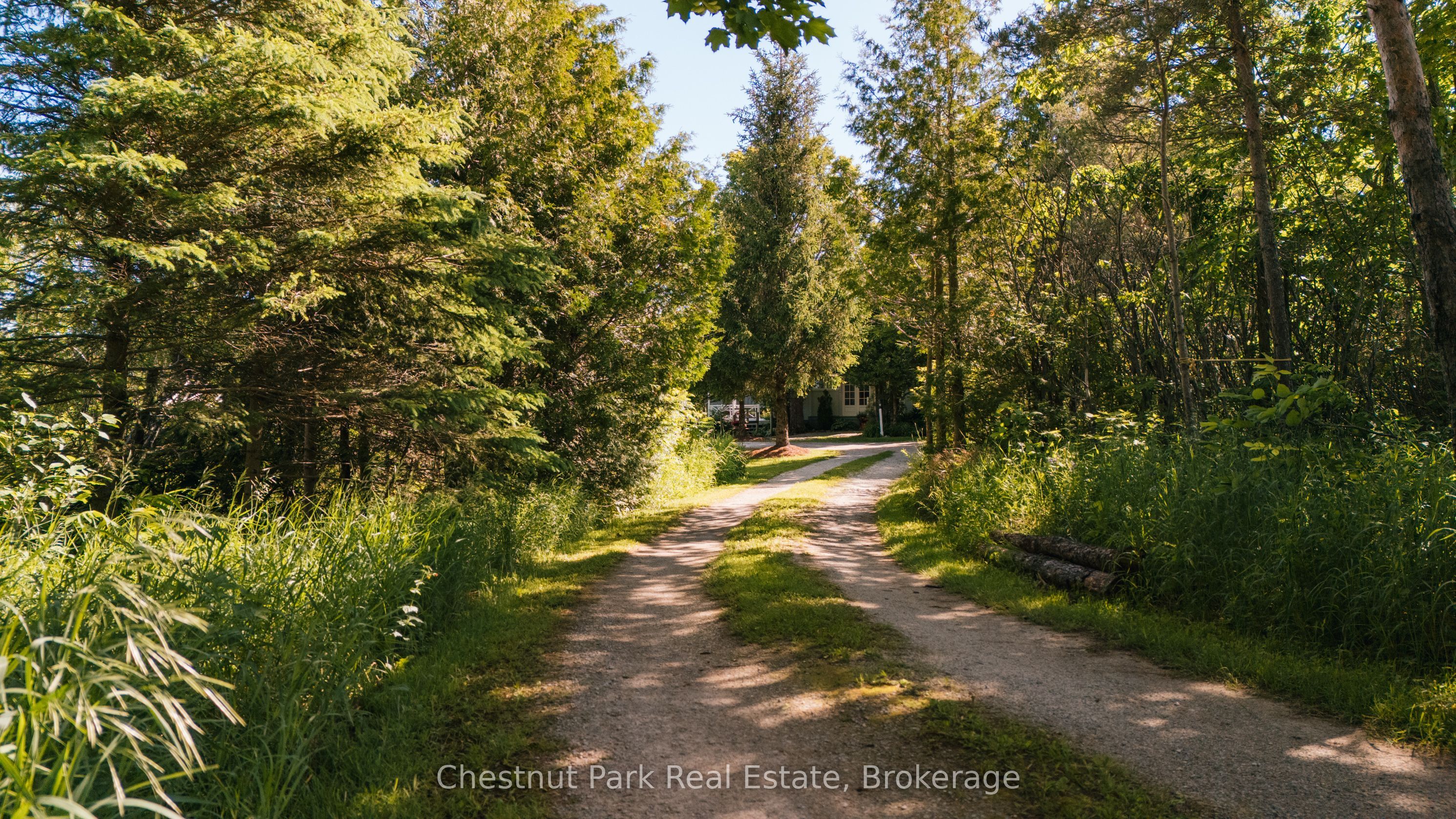 729297 21st Side Road Property Photo 6
