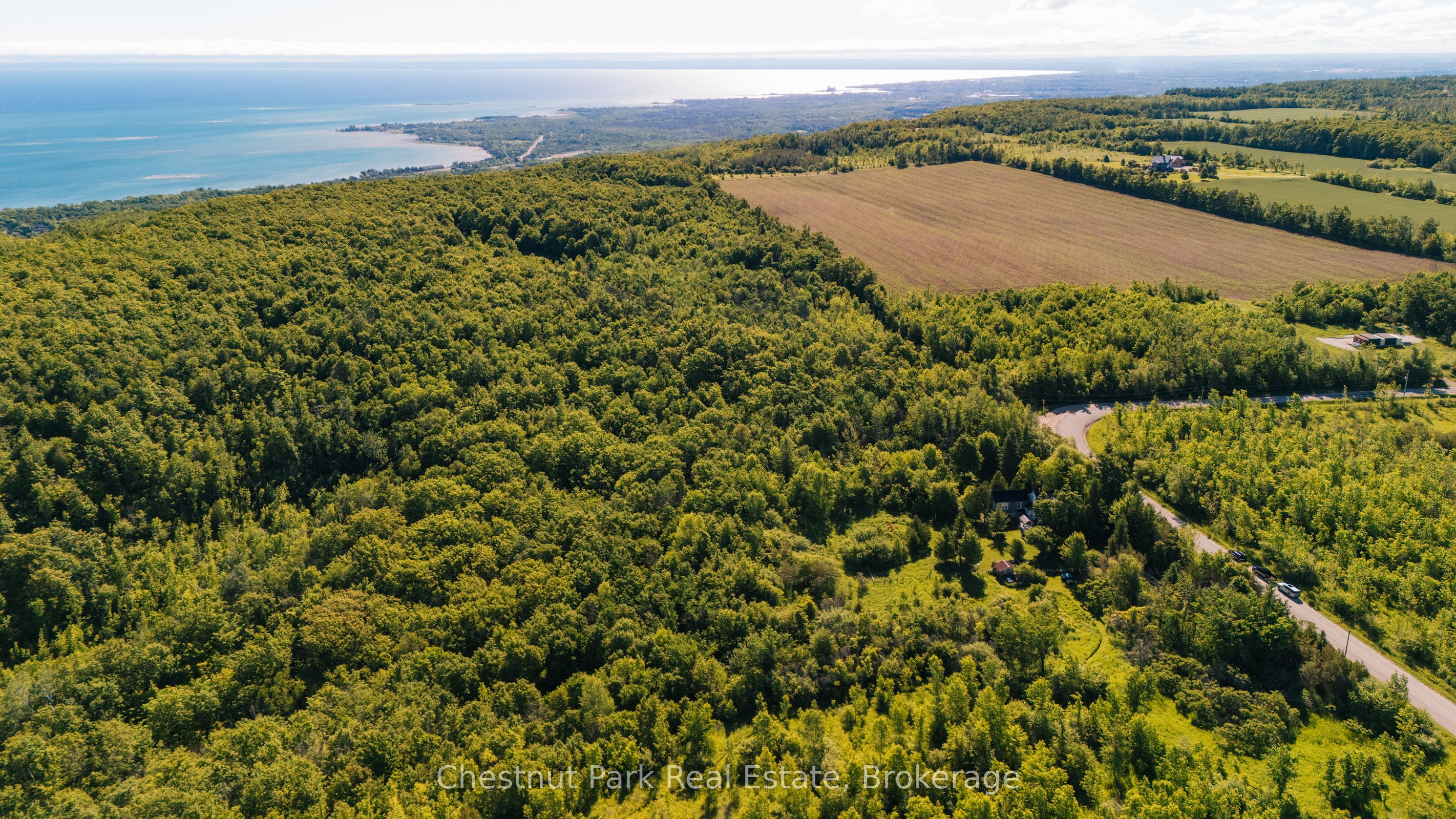 729297 21st Side Road Property Photo 46