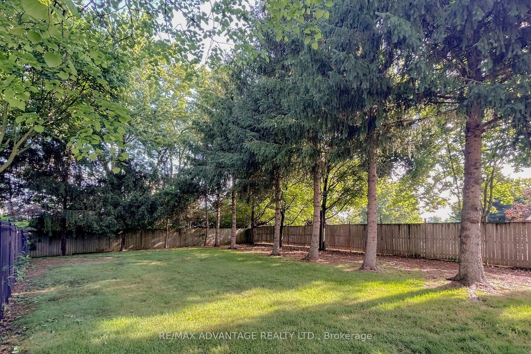 38 Dissing Crescent Property Photo 33