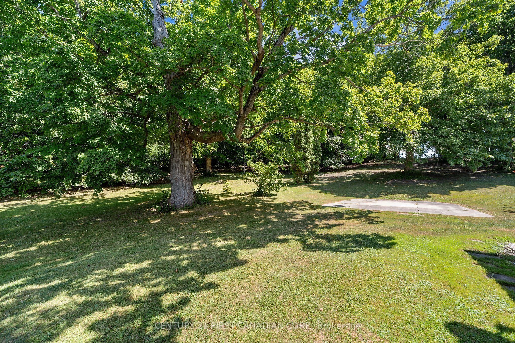 14519 Elginfield Road Property Photo 8