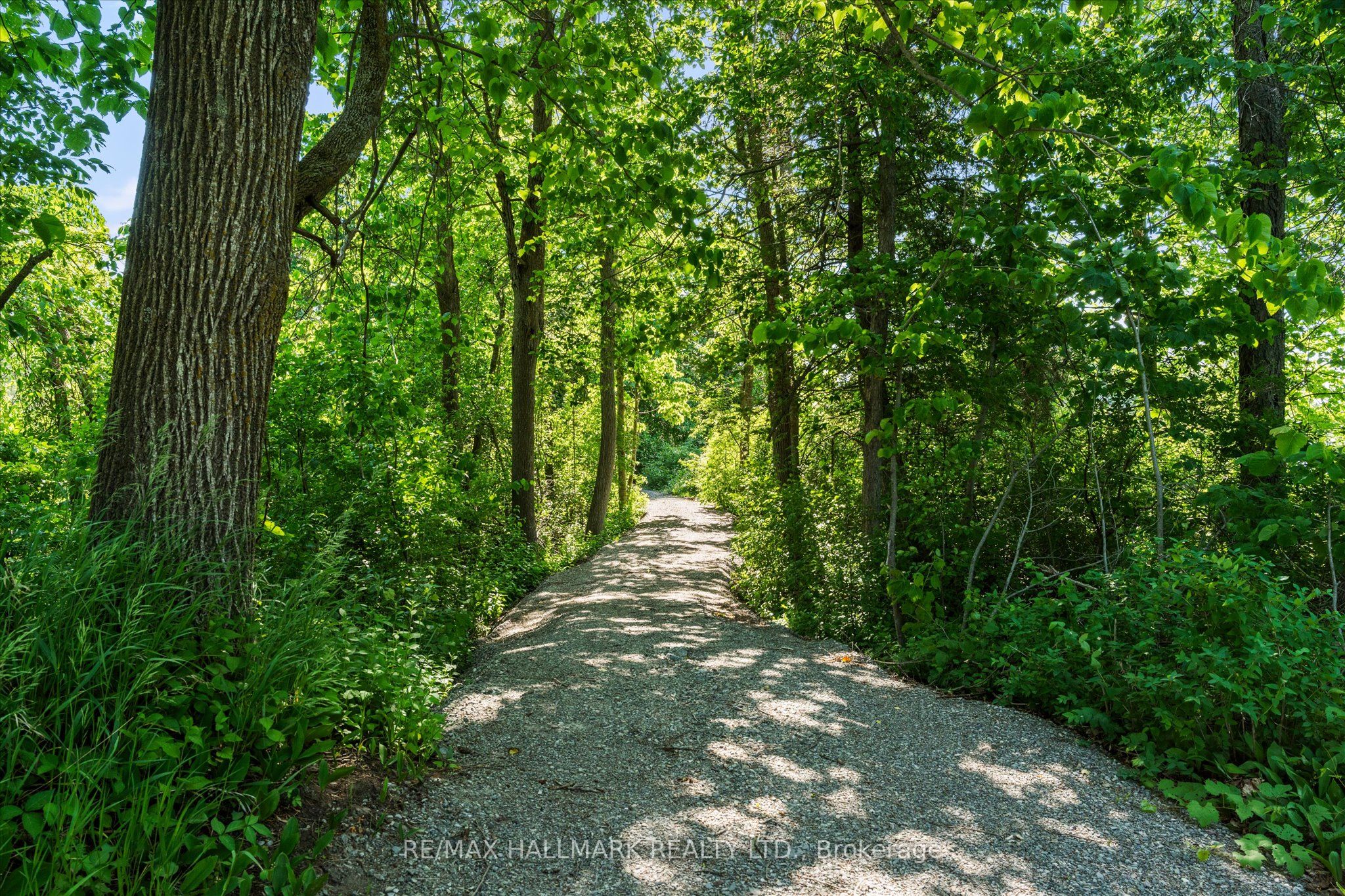 105 County Rd 40 Road Property Photo 15