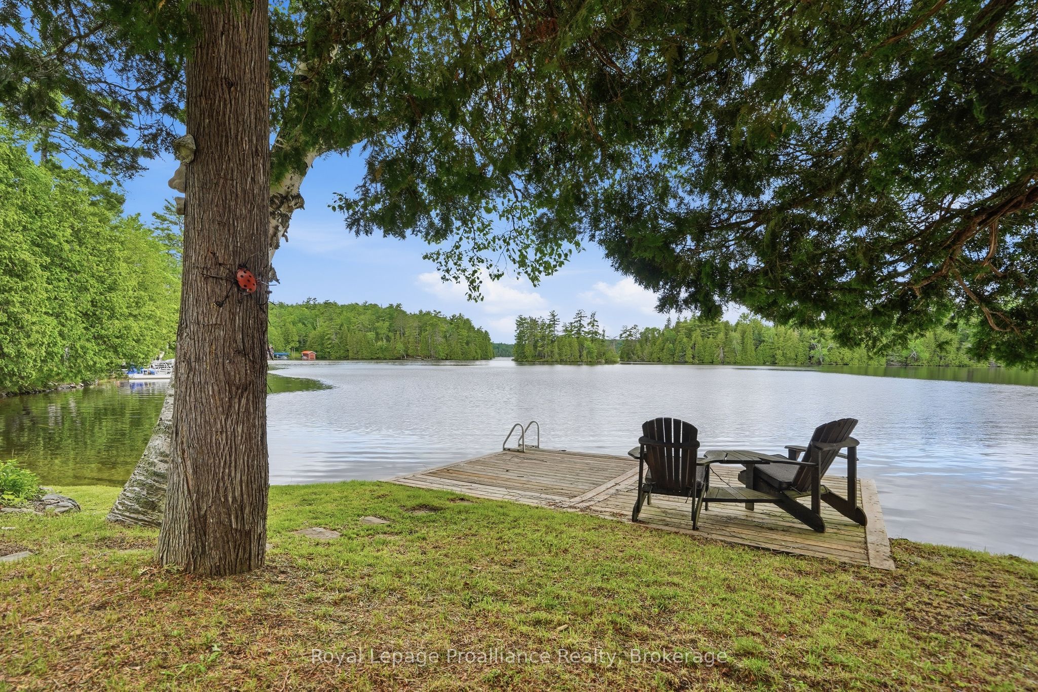 1219 Silver Mine Lane Property Photo 36