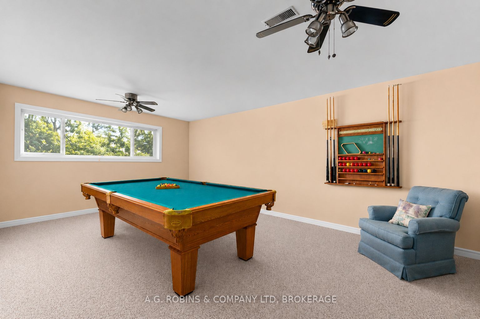 10321 Lakshore Road W Property Photo 45