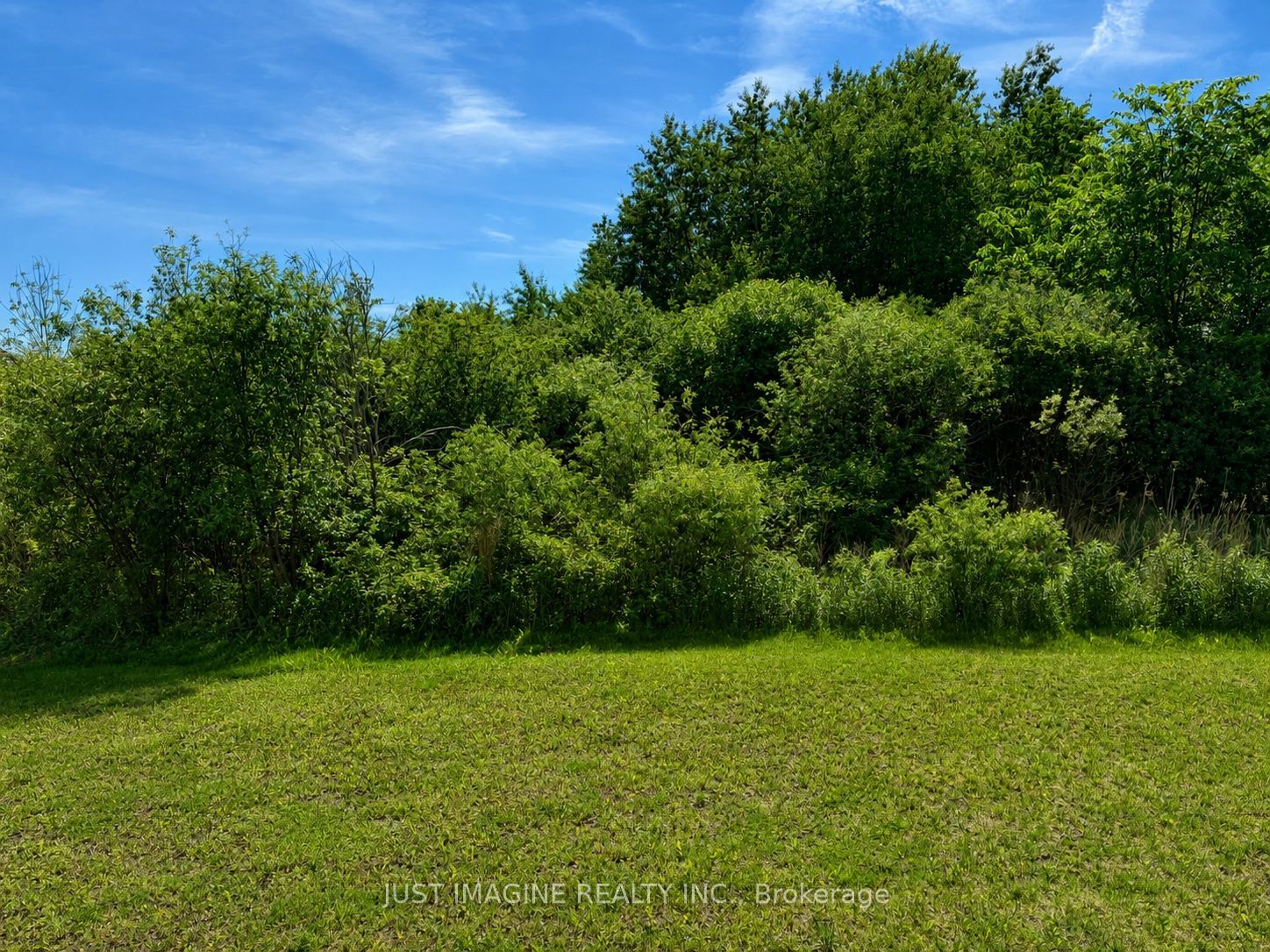 311 Ibanez Walk Property Photo 43