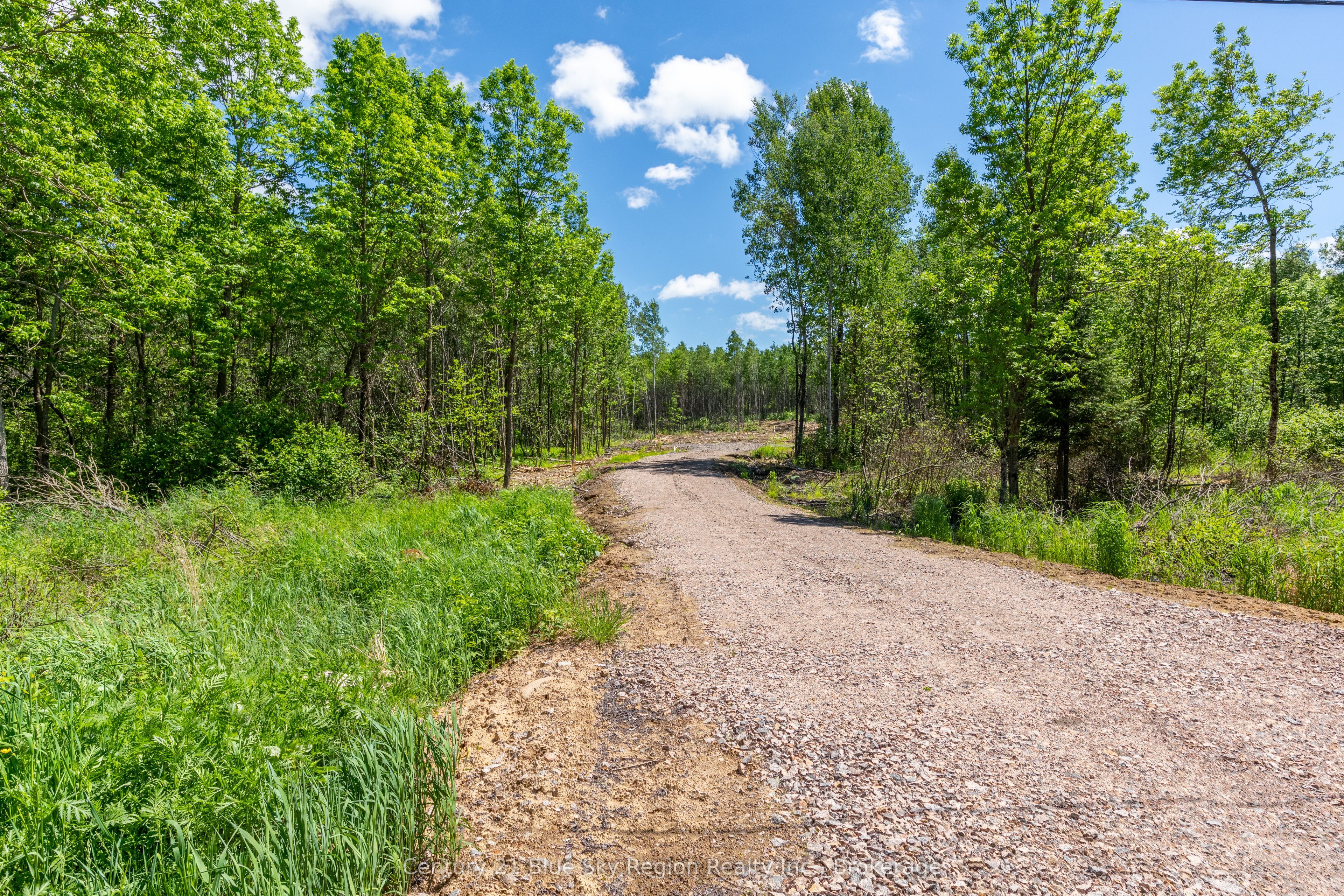 249 Hills Siding Road Property Photo 3
