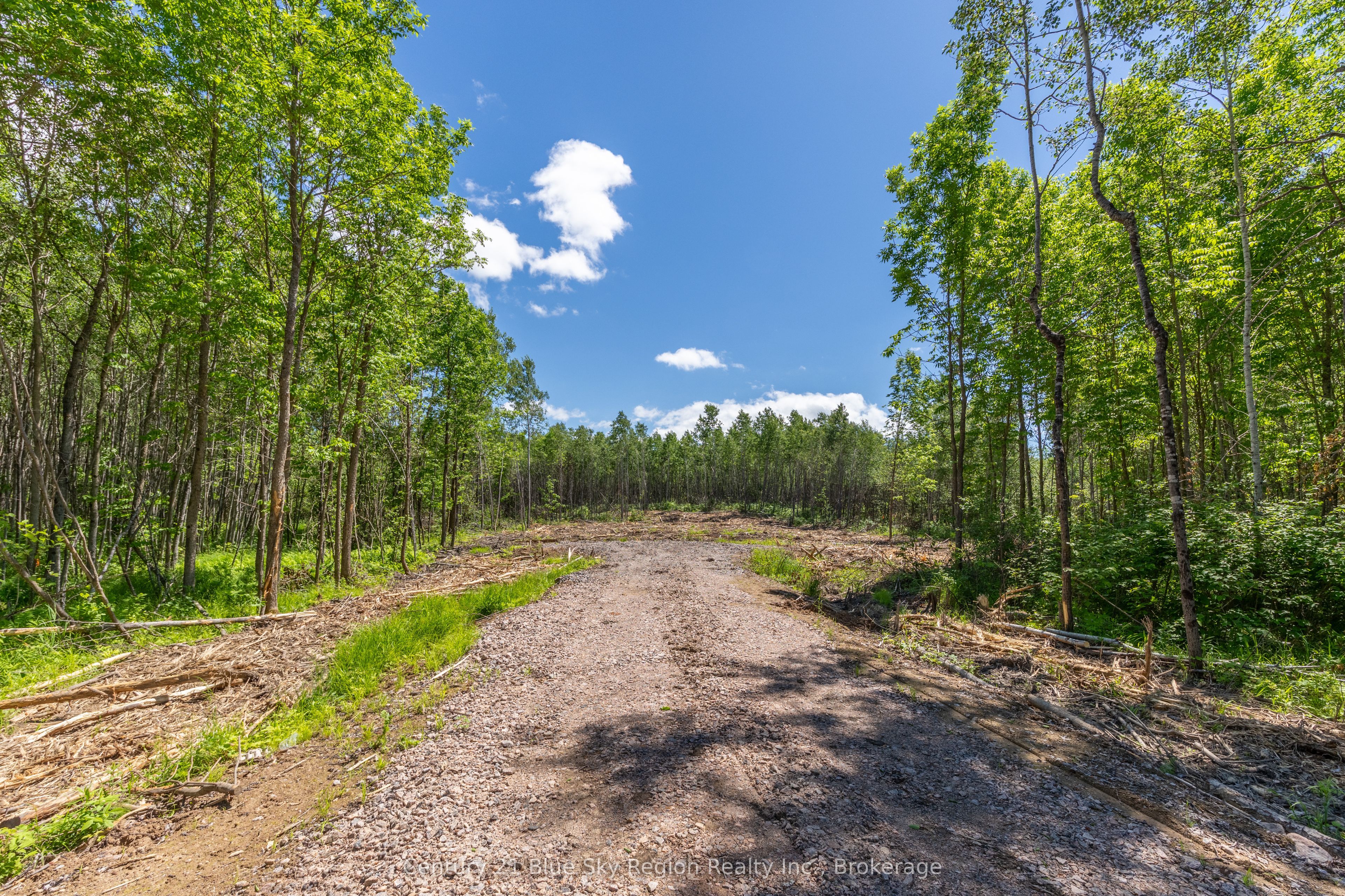 249 Hills Siding Road Property Photo 4