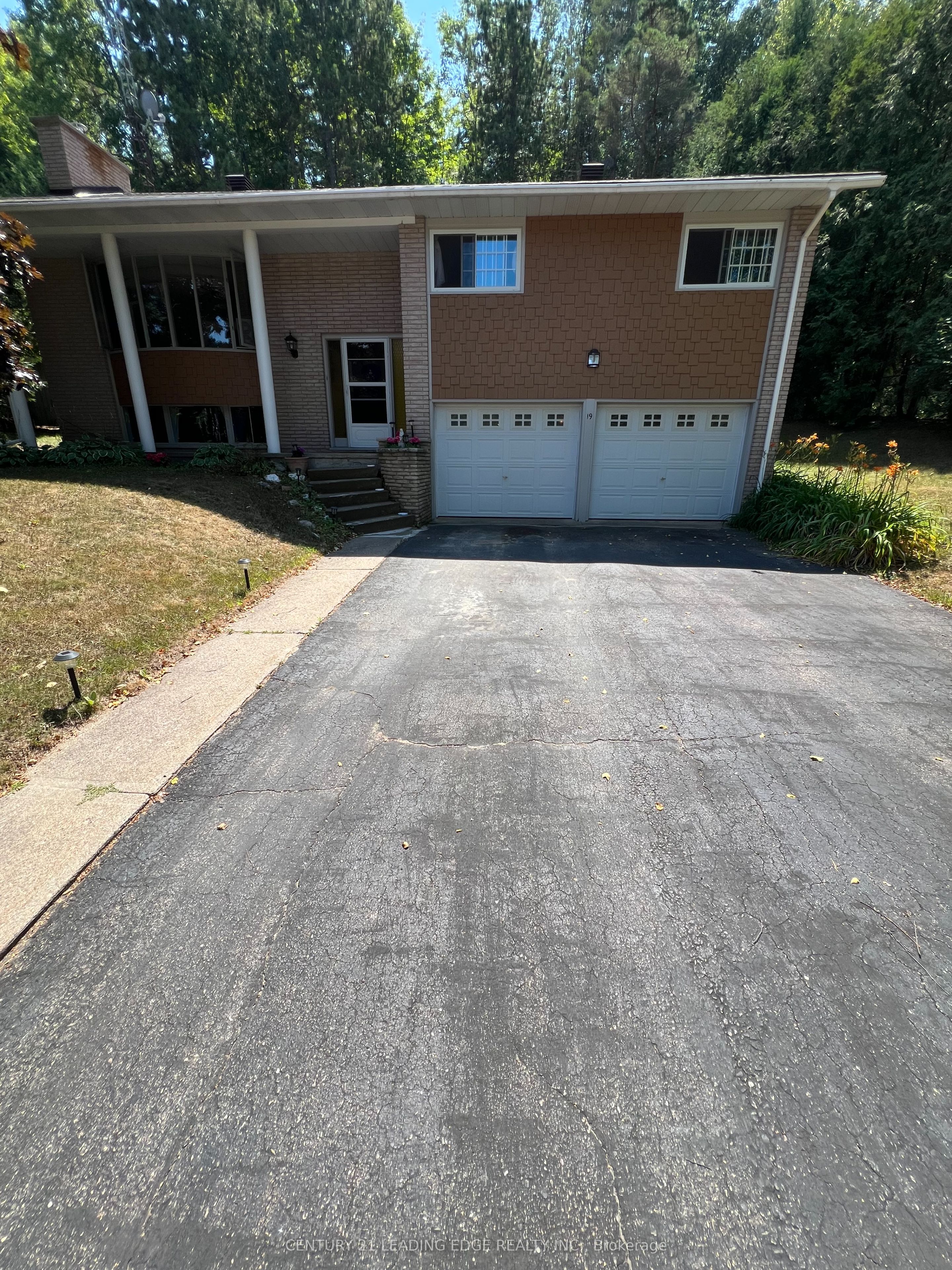19 Forest Hill Road Property Photo 3