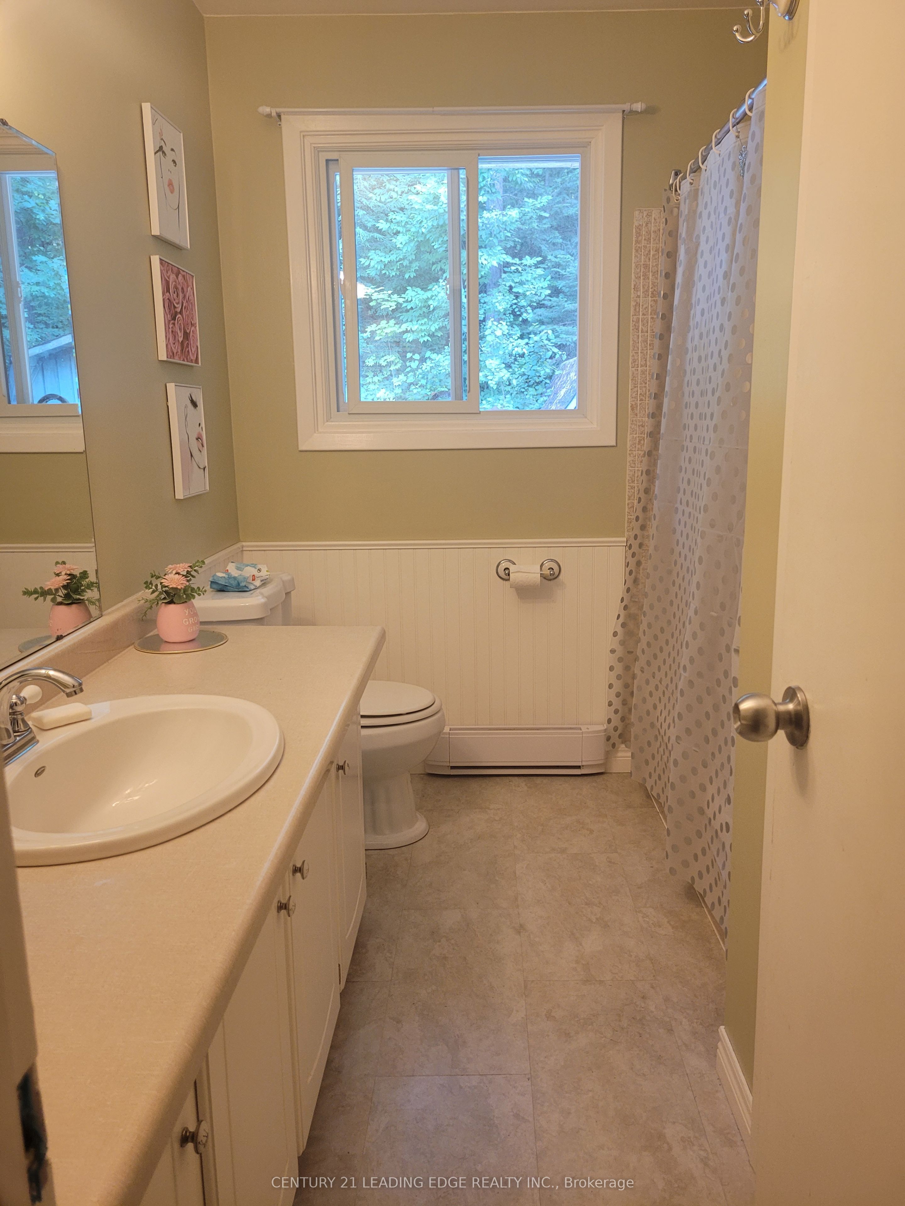 19 Forest Hill Road Property Photo 14