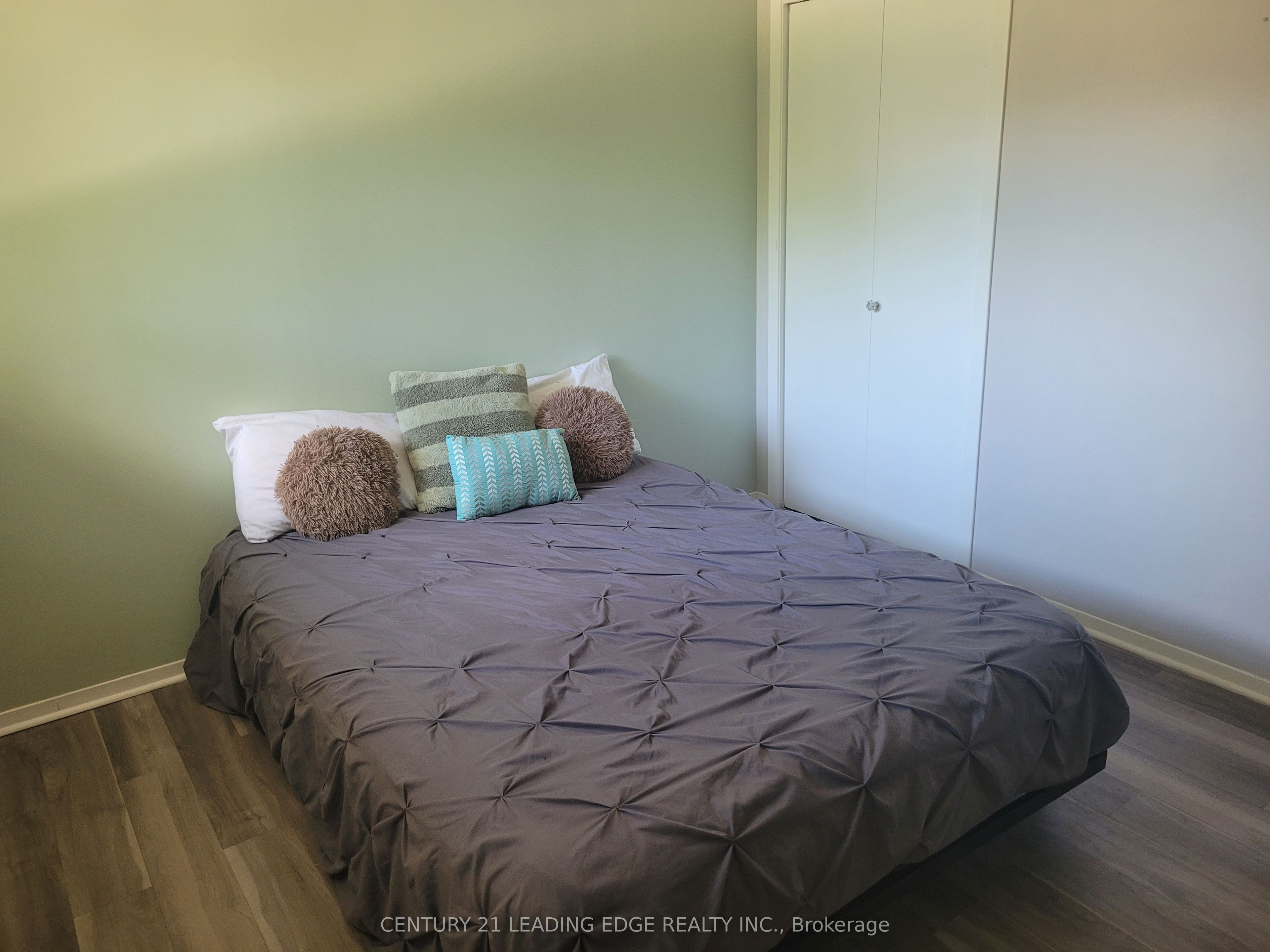 19 Forest Hill Road Property Photo 16