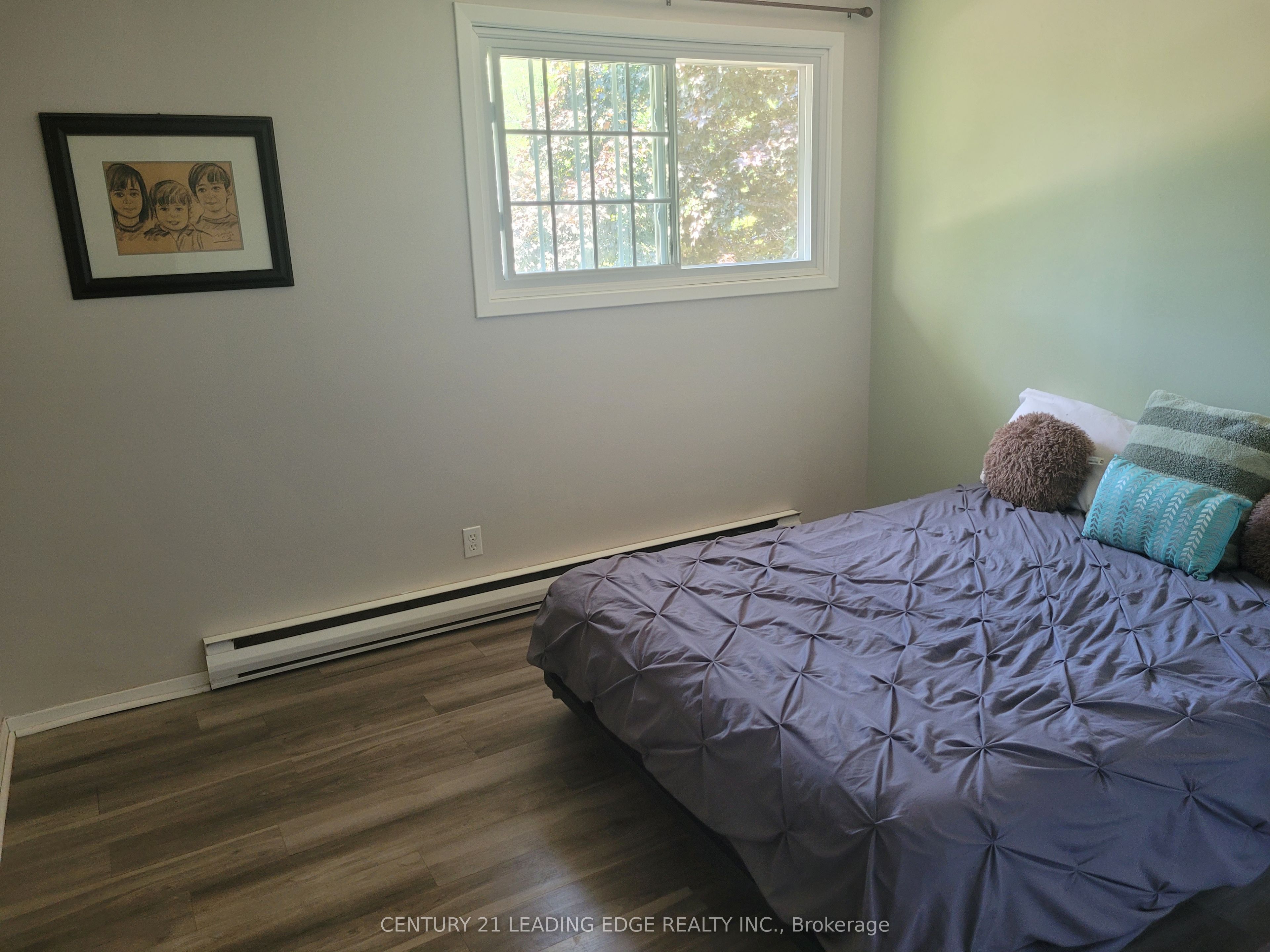 19 Forest Hill Road Property Photo 17