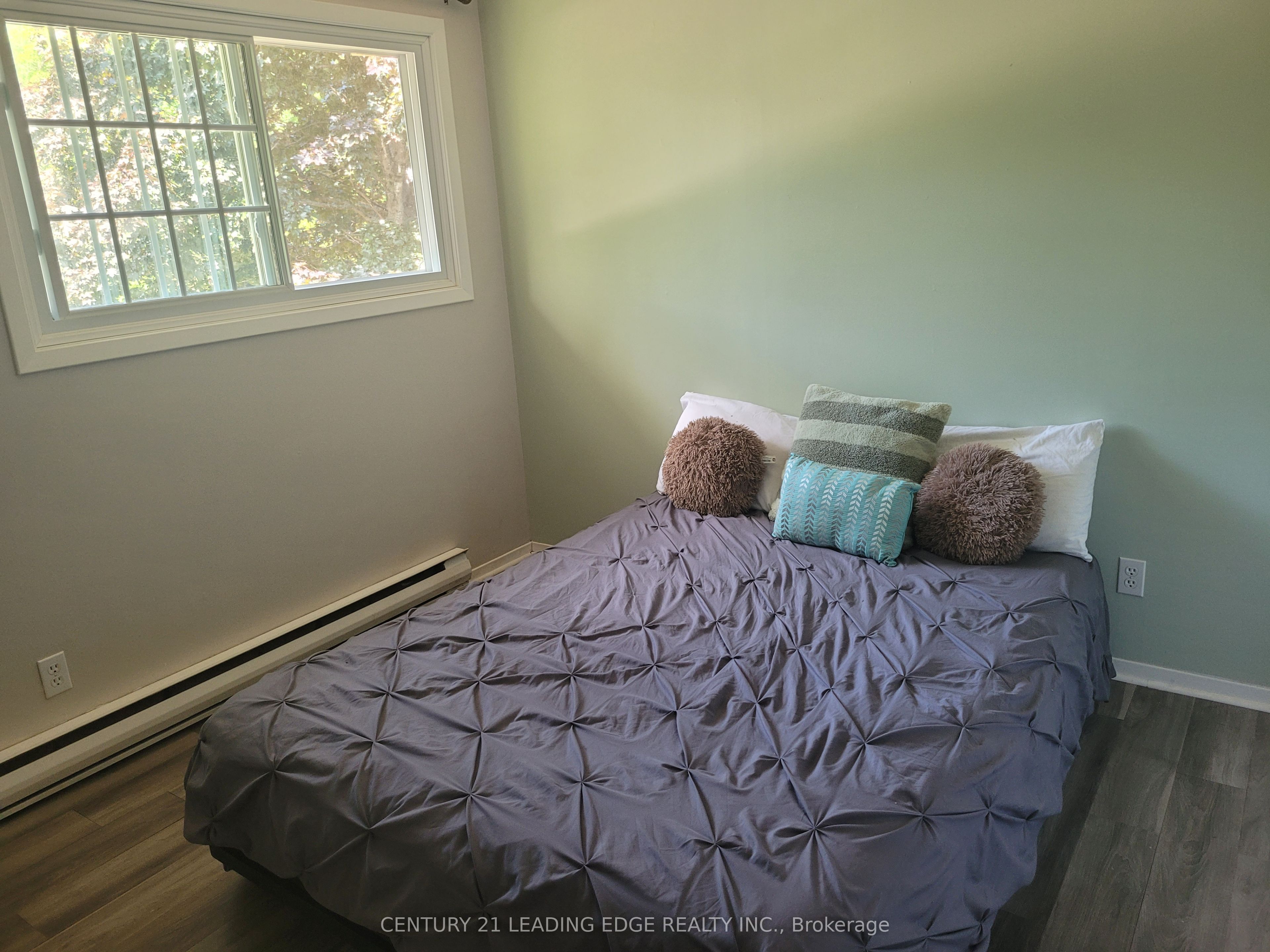 19 Forest Hill Road Property Photo 18