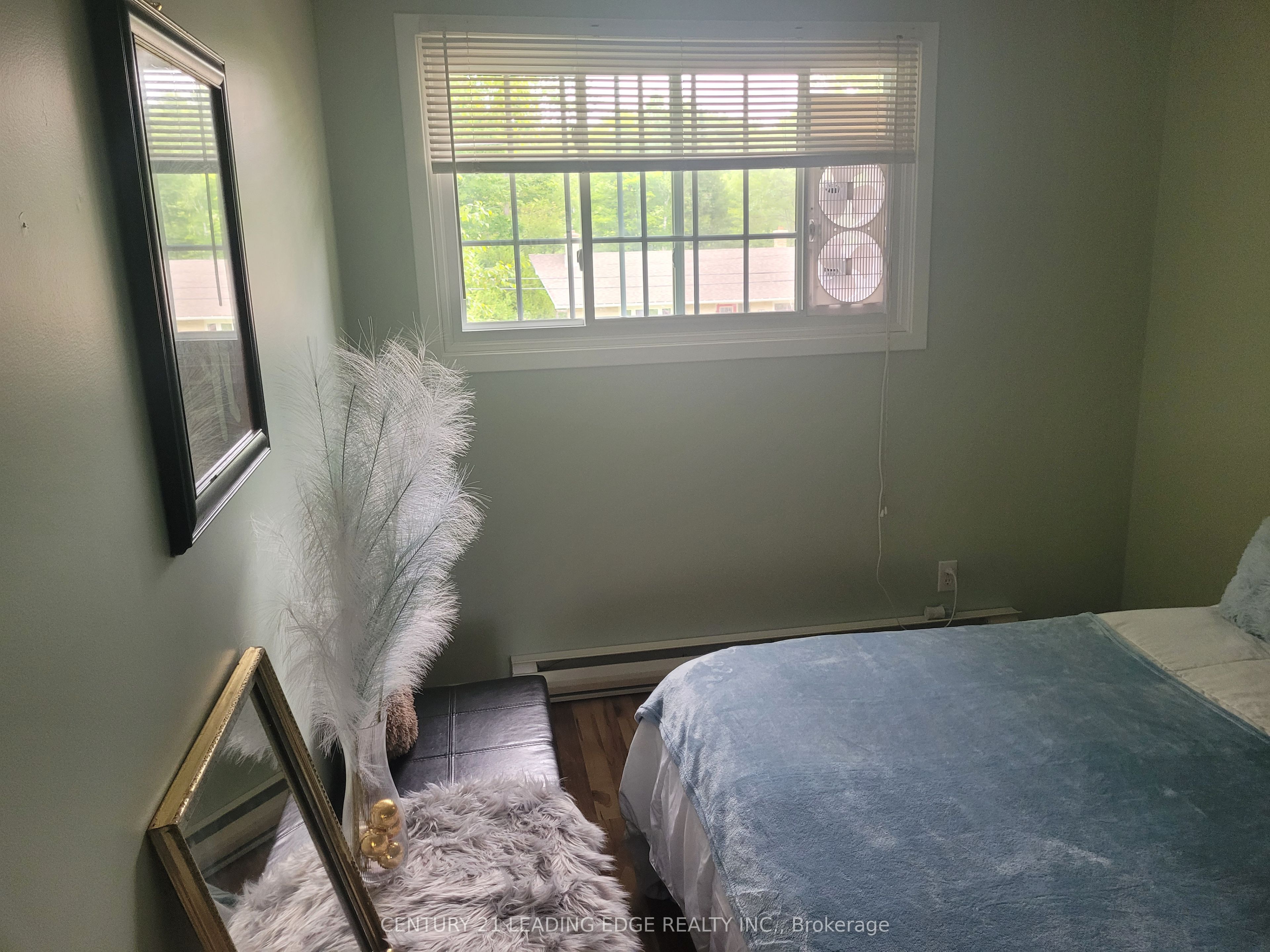 19 Forest Hill Road Property Photo 21