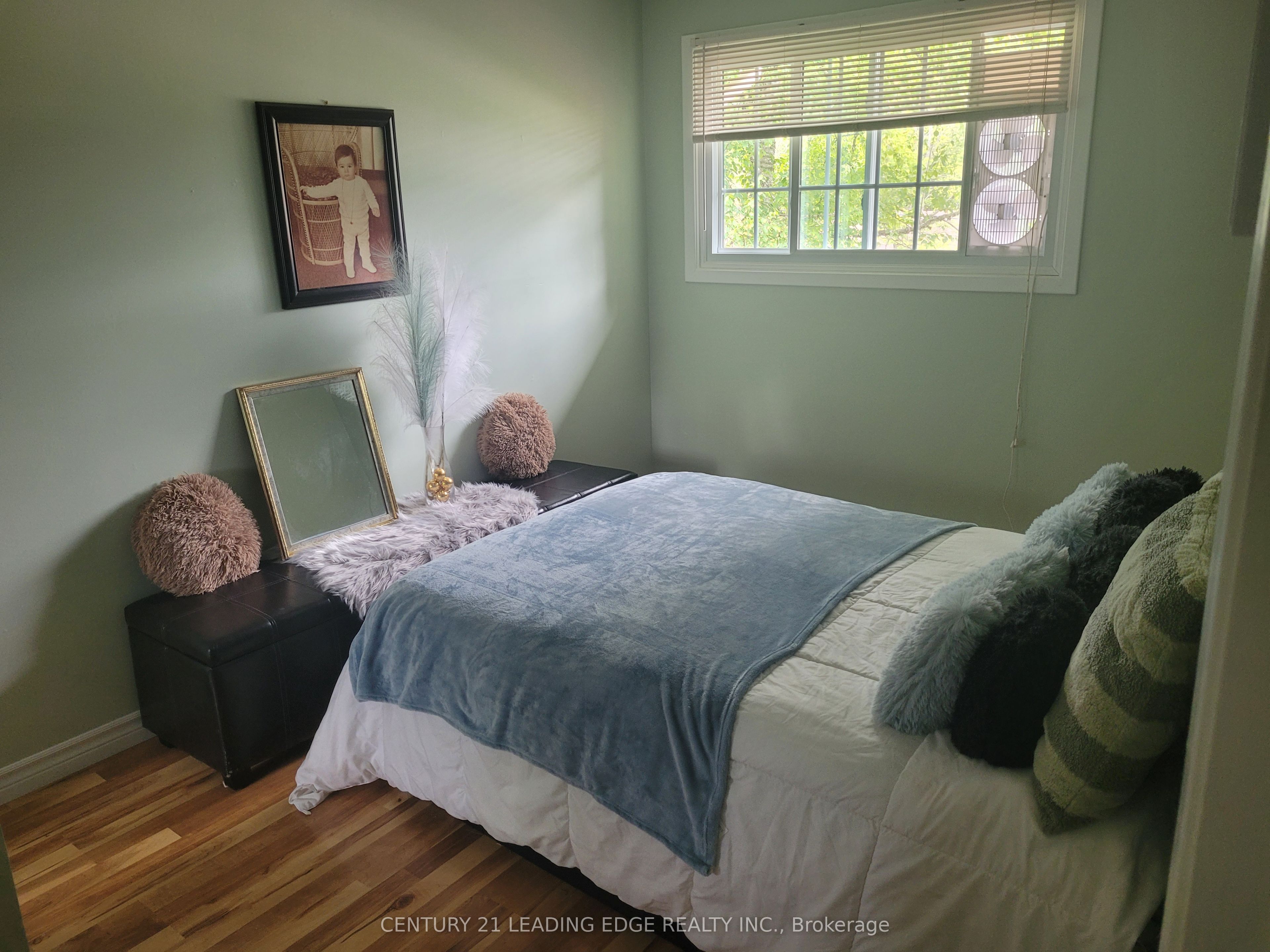 19 Forest Hill Road Property Photo 22