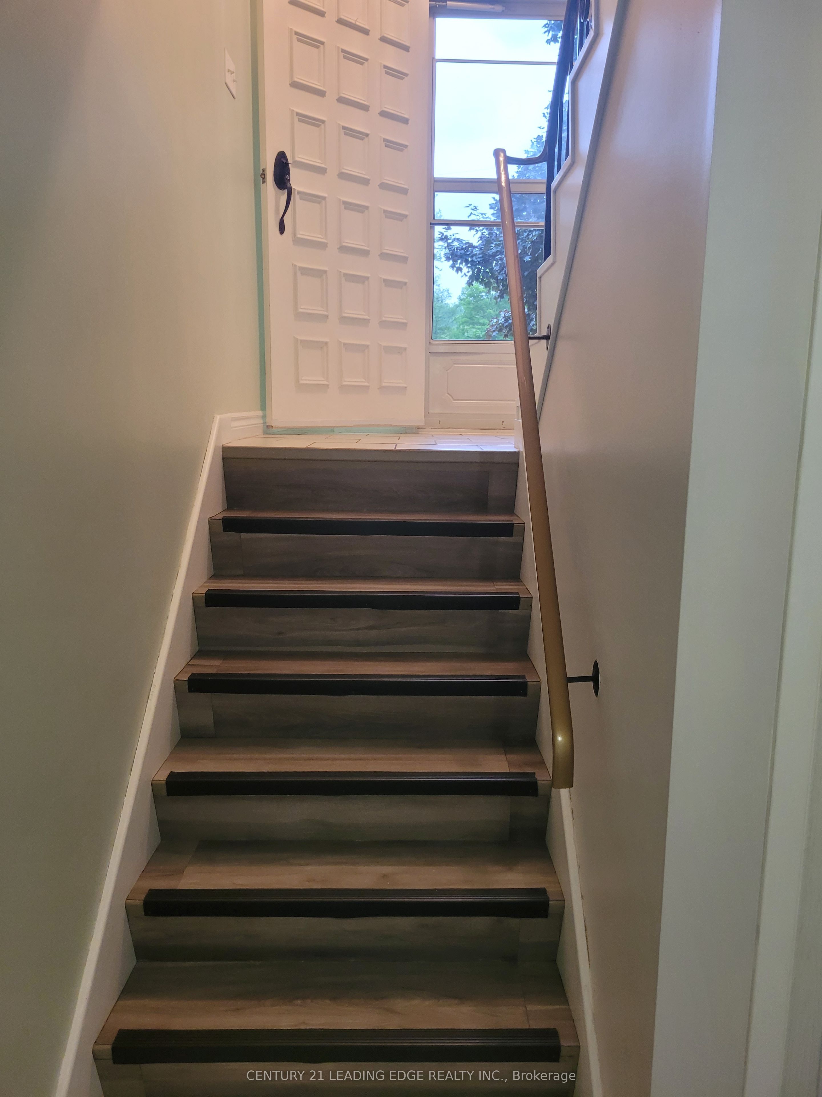 19 Forest Hill Road Property Photo 23