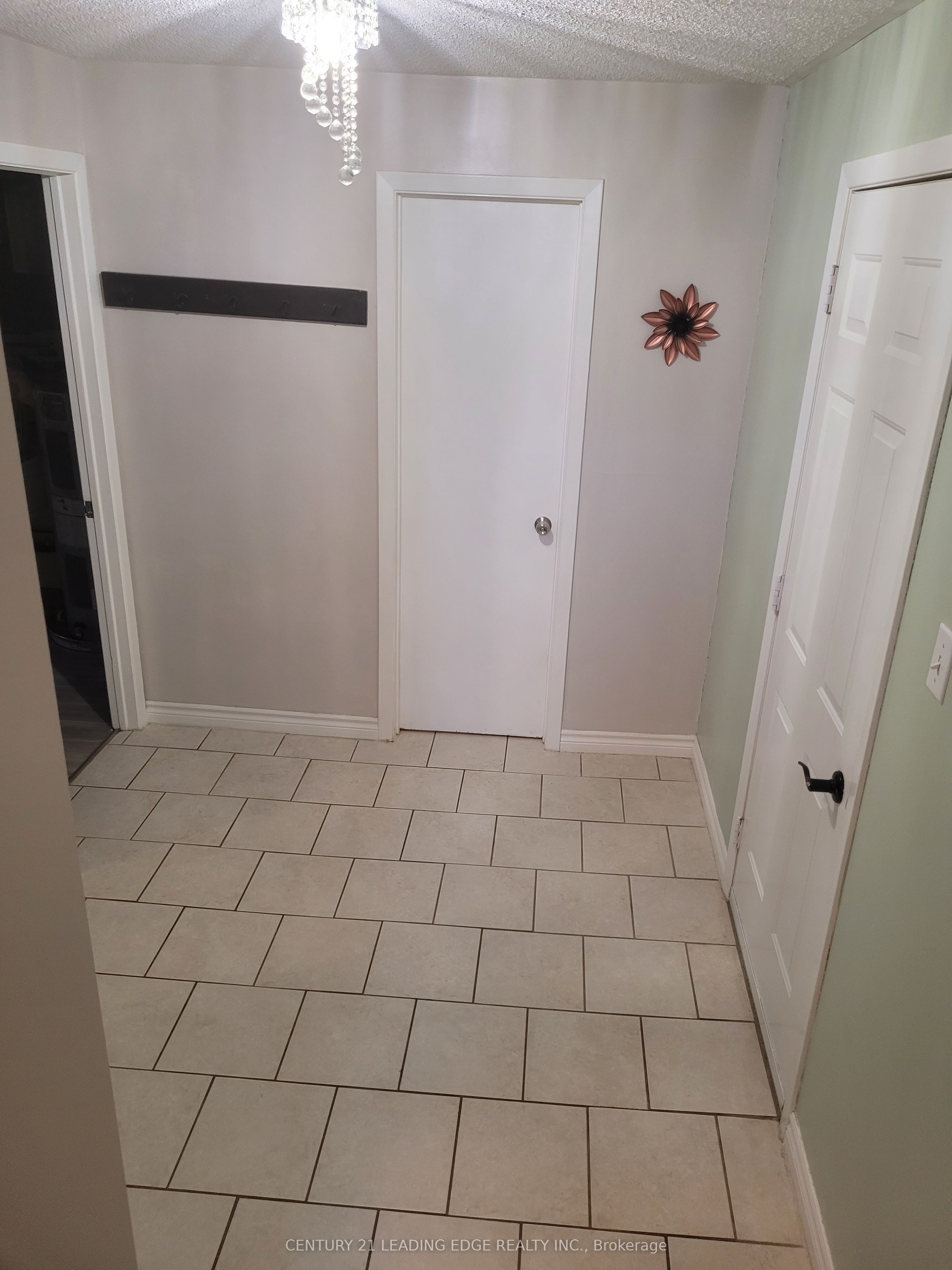 19 Forest Hill Road Property Photo 24