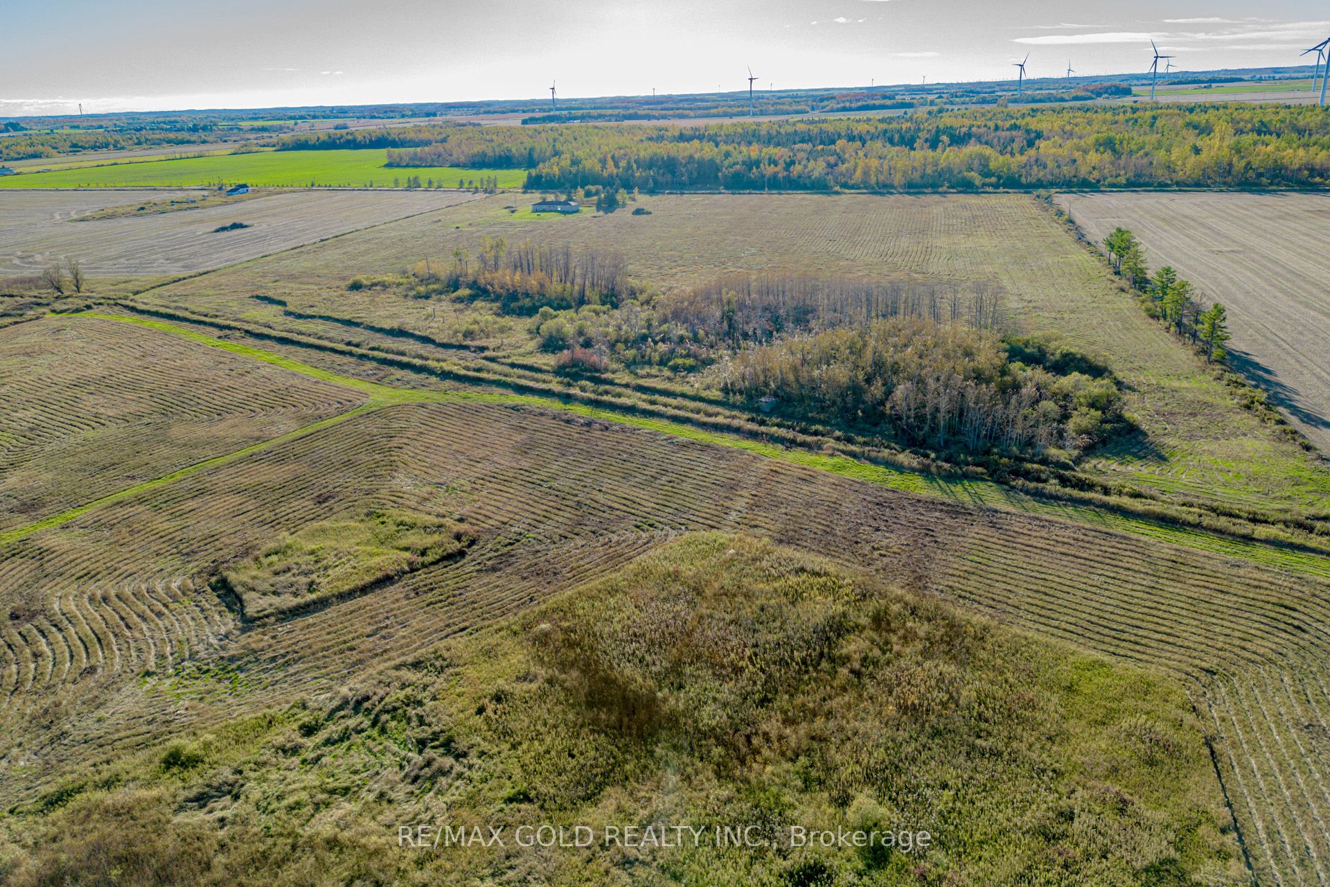 255505 9th Line Property Photo 10