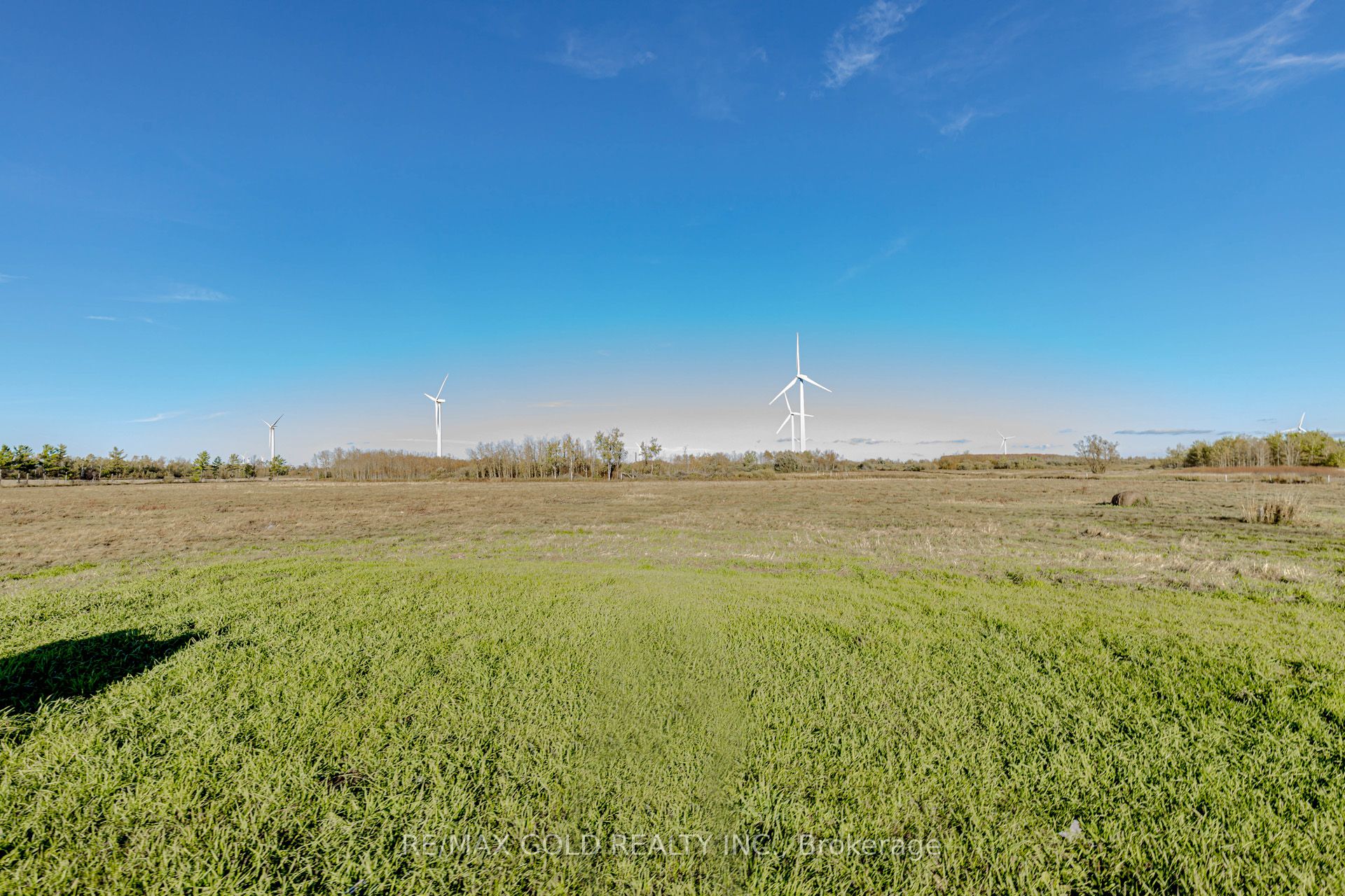 255505 9th Line Property Photo 17