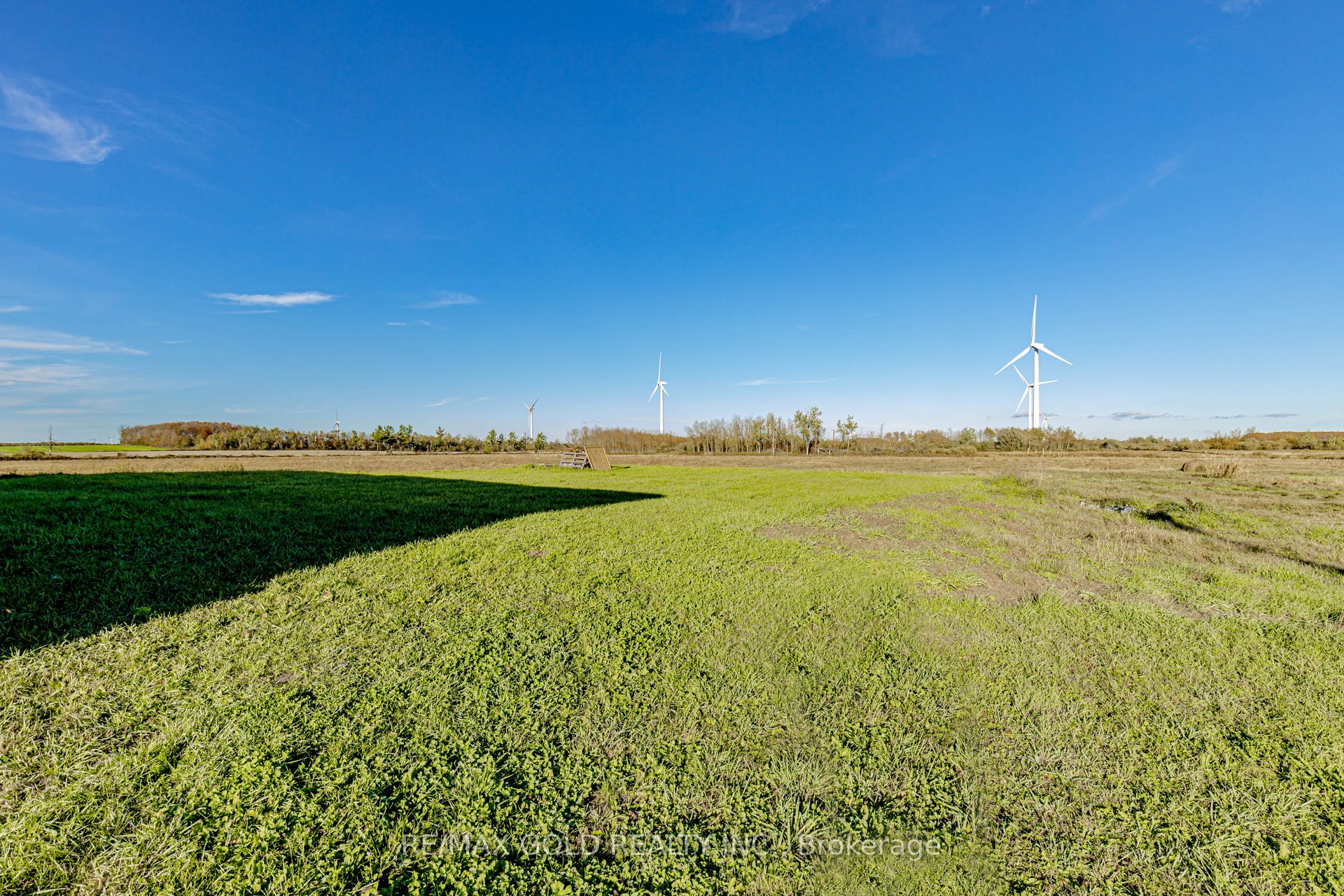 255505 9th Line Property Photo 19