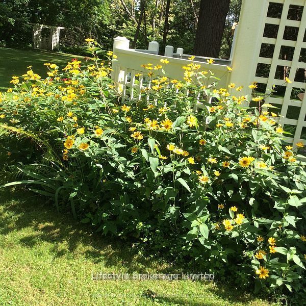 2315 County Rd 45 Road Property Photo 29