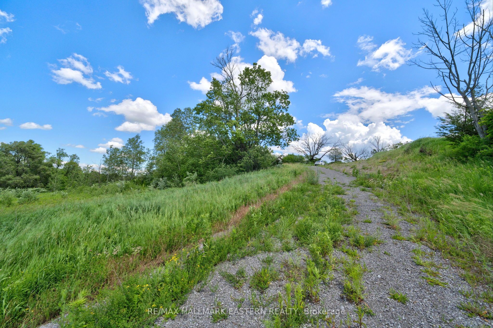 9179 Racetrack Road Property Photo 19