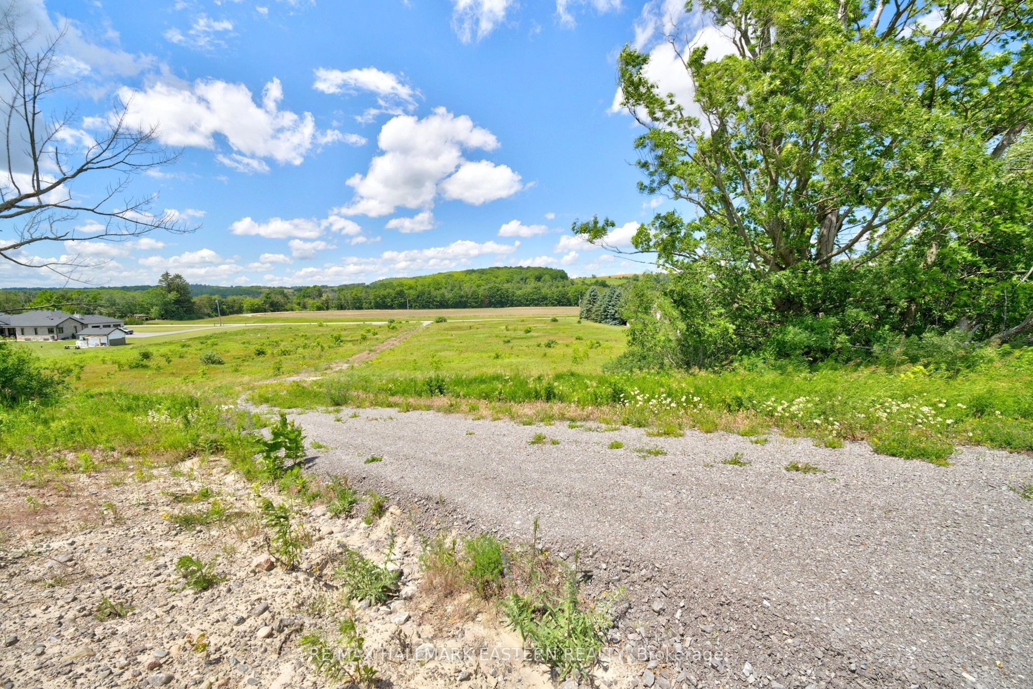 9179 Racetrack Road Property Photo 25