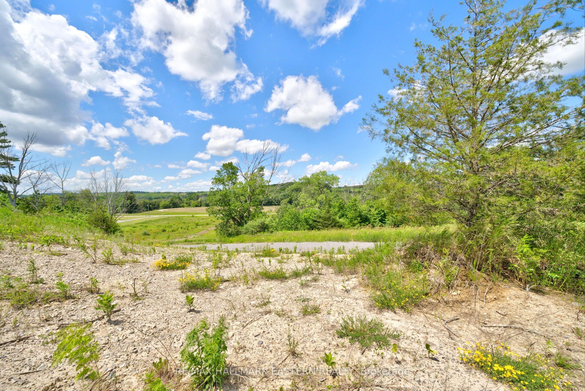 9179 Racetrack Road Property Photo 29