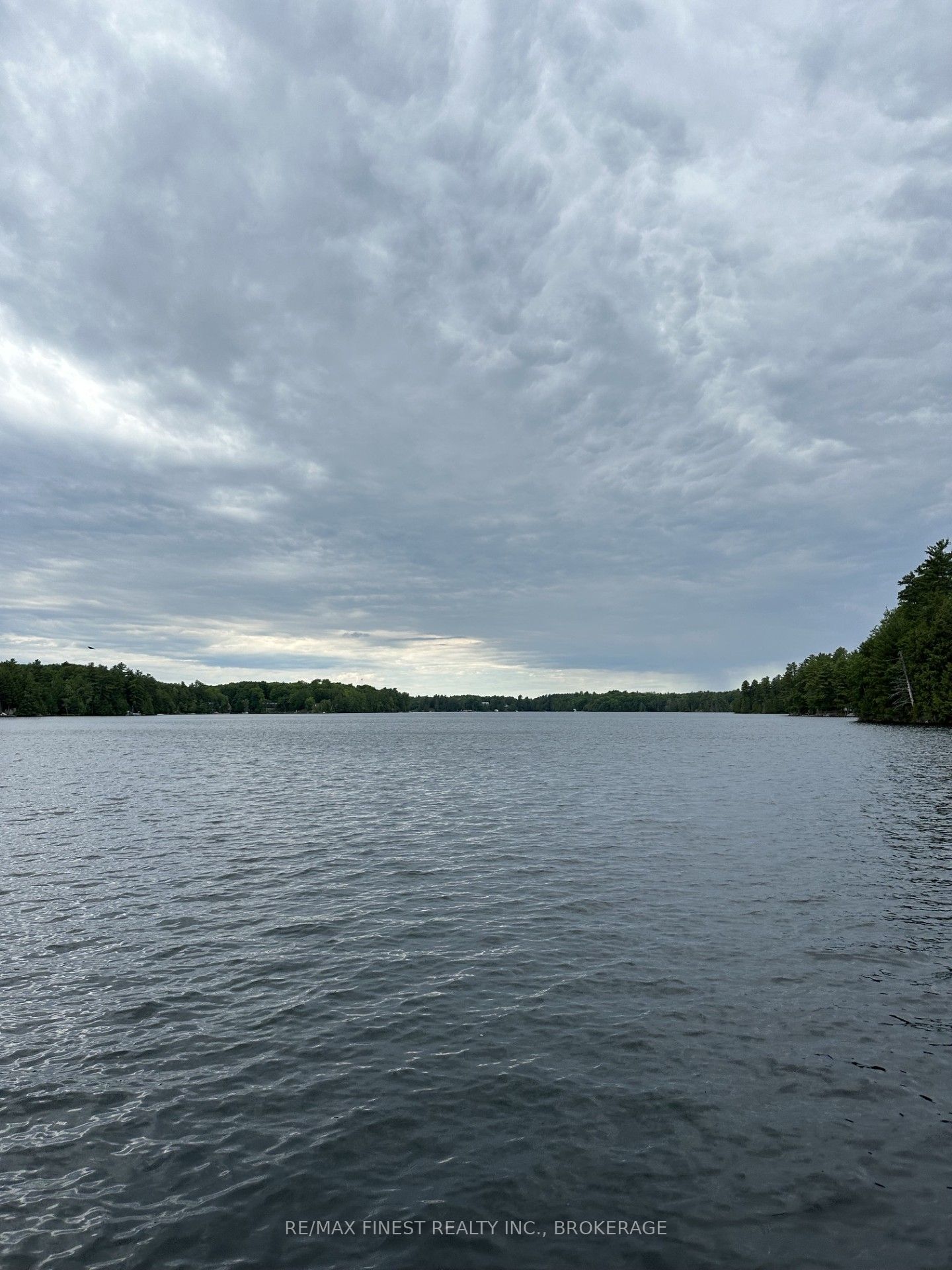 27246 Eagle Lake Property Photo 3