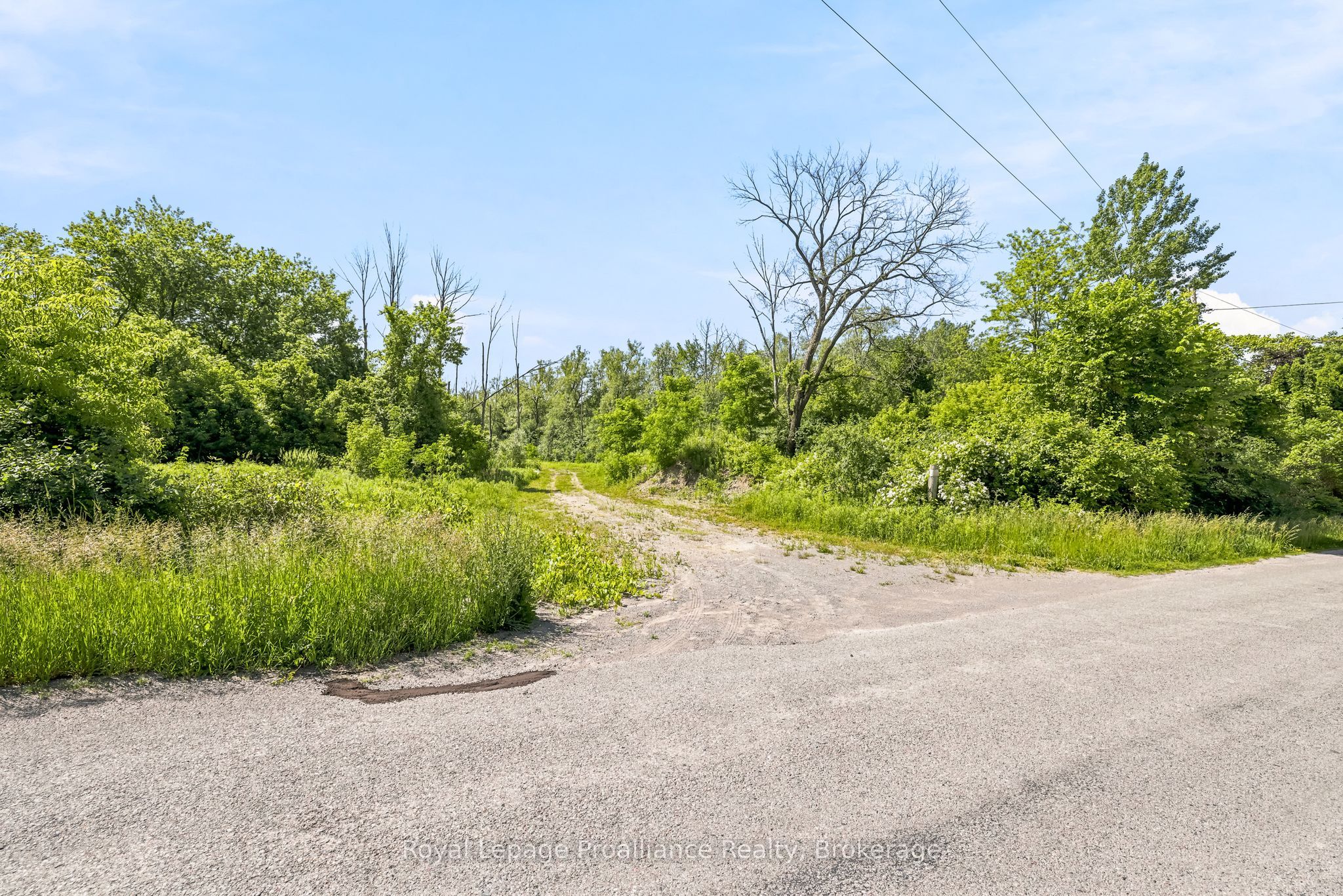 00 Bickle Hill Road Property Photo 13