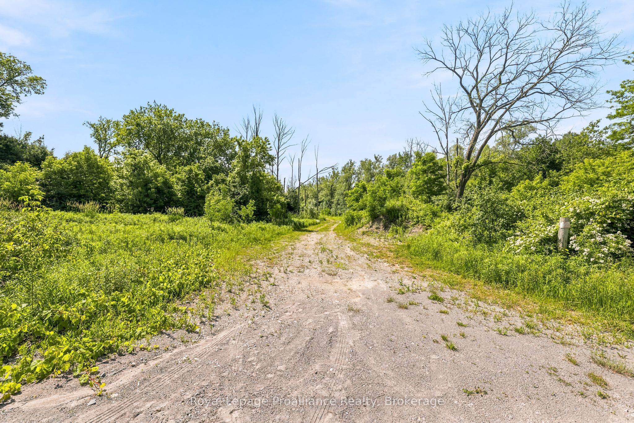 00 Bickle Hill Road Property Photo 14
