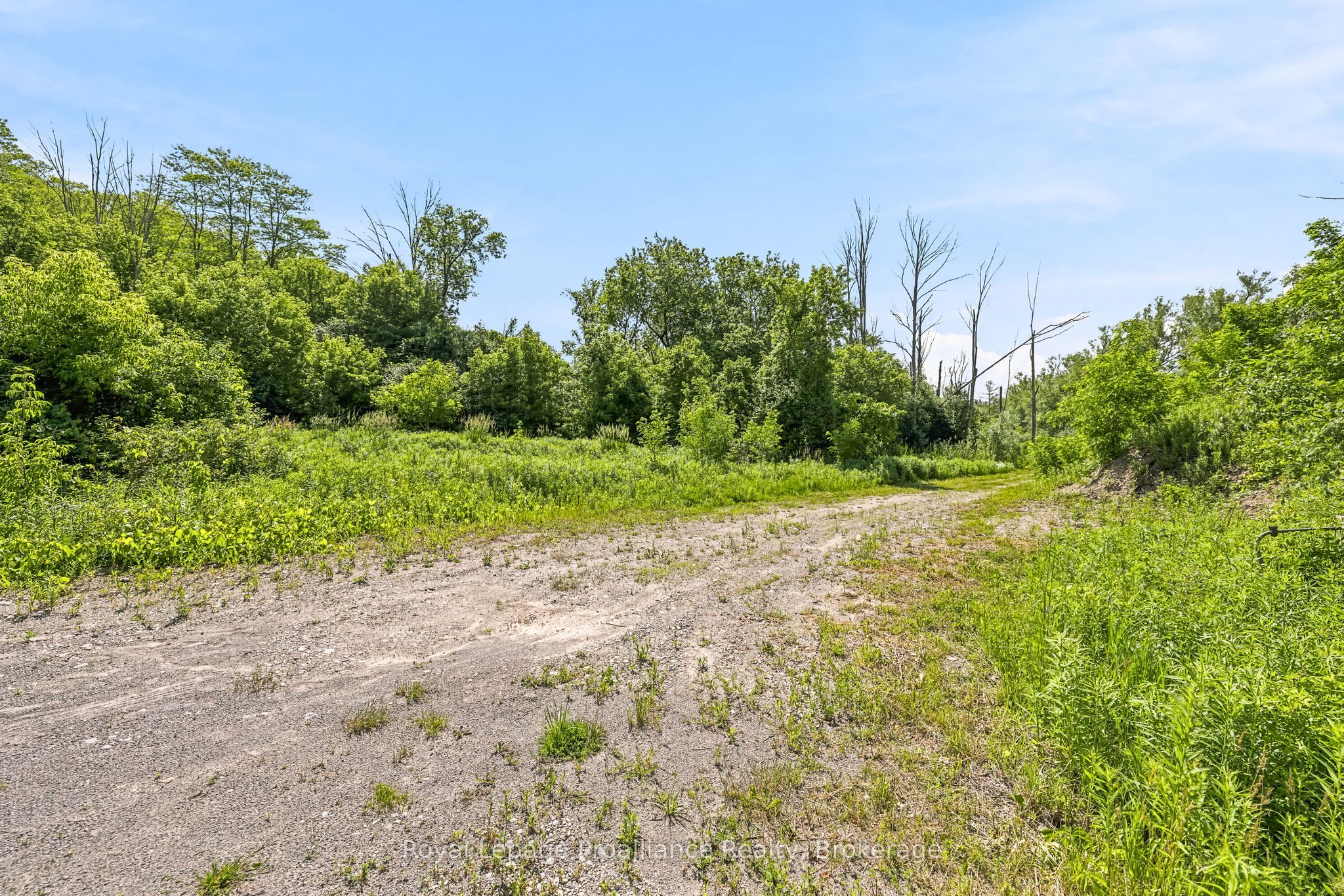 00 Bickle Hill Road Property Photo 15