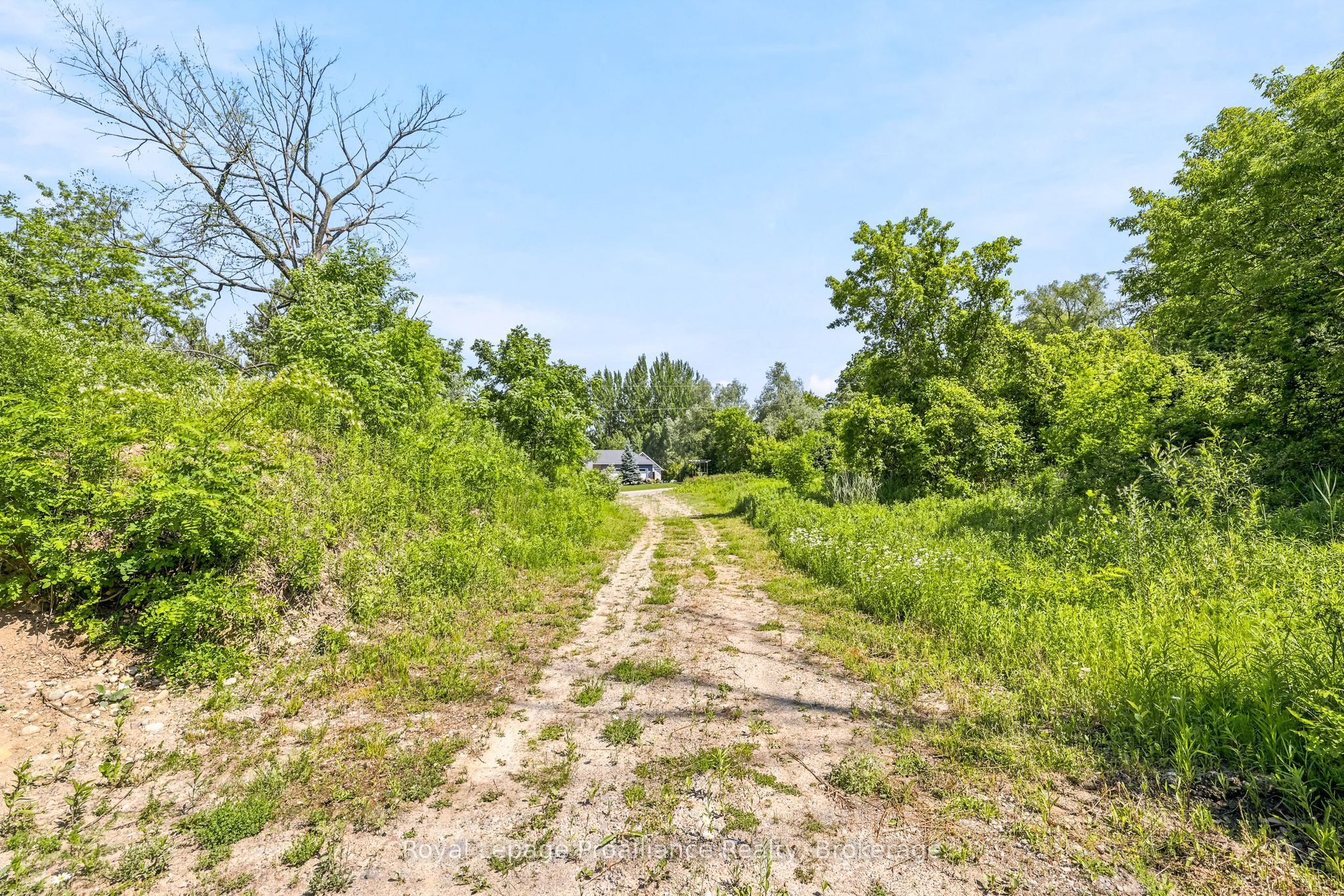 00 Bickle Hill Road Property Photo 16