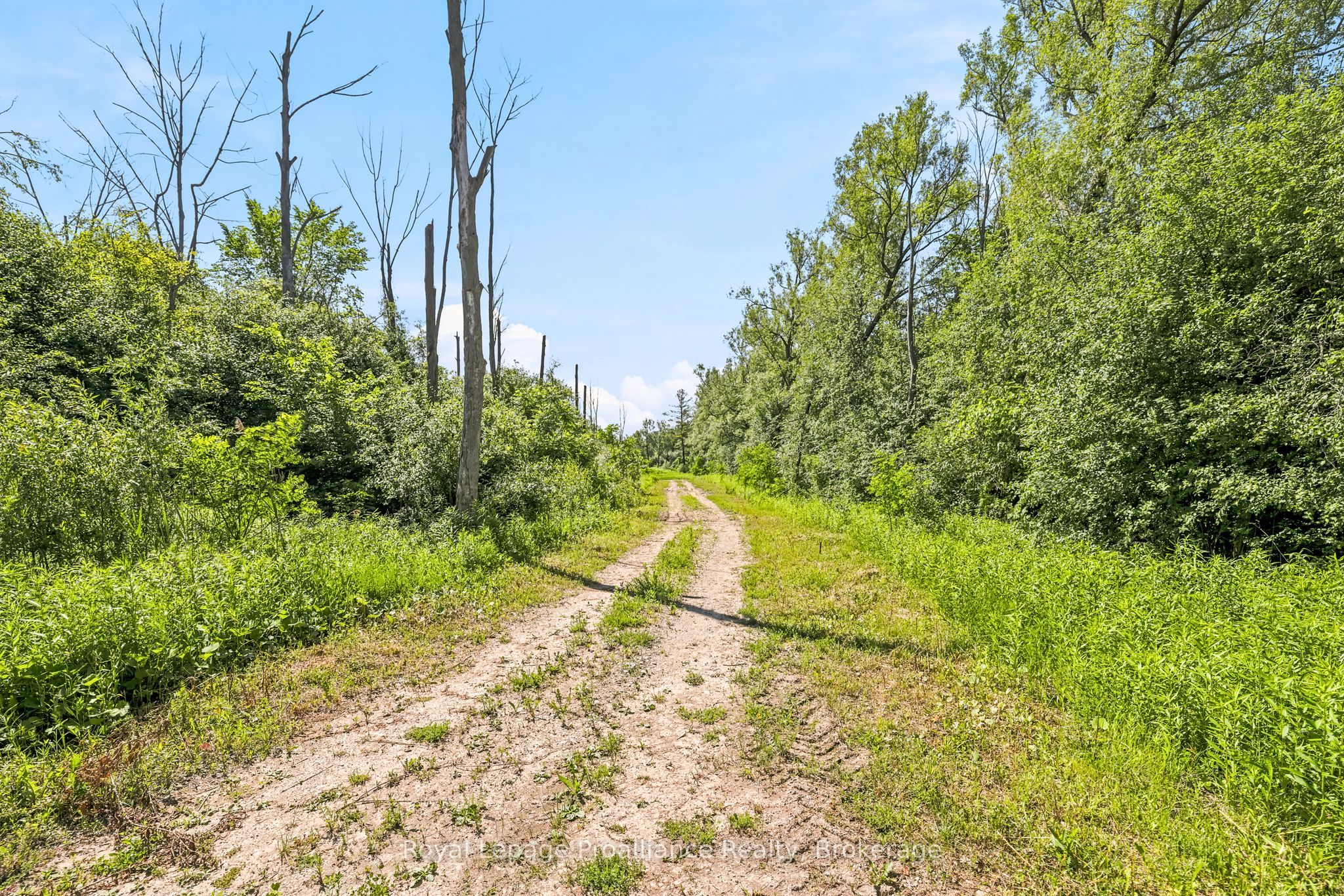 00 Bickle Hill Road Property Photo 17