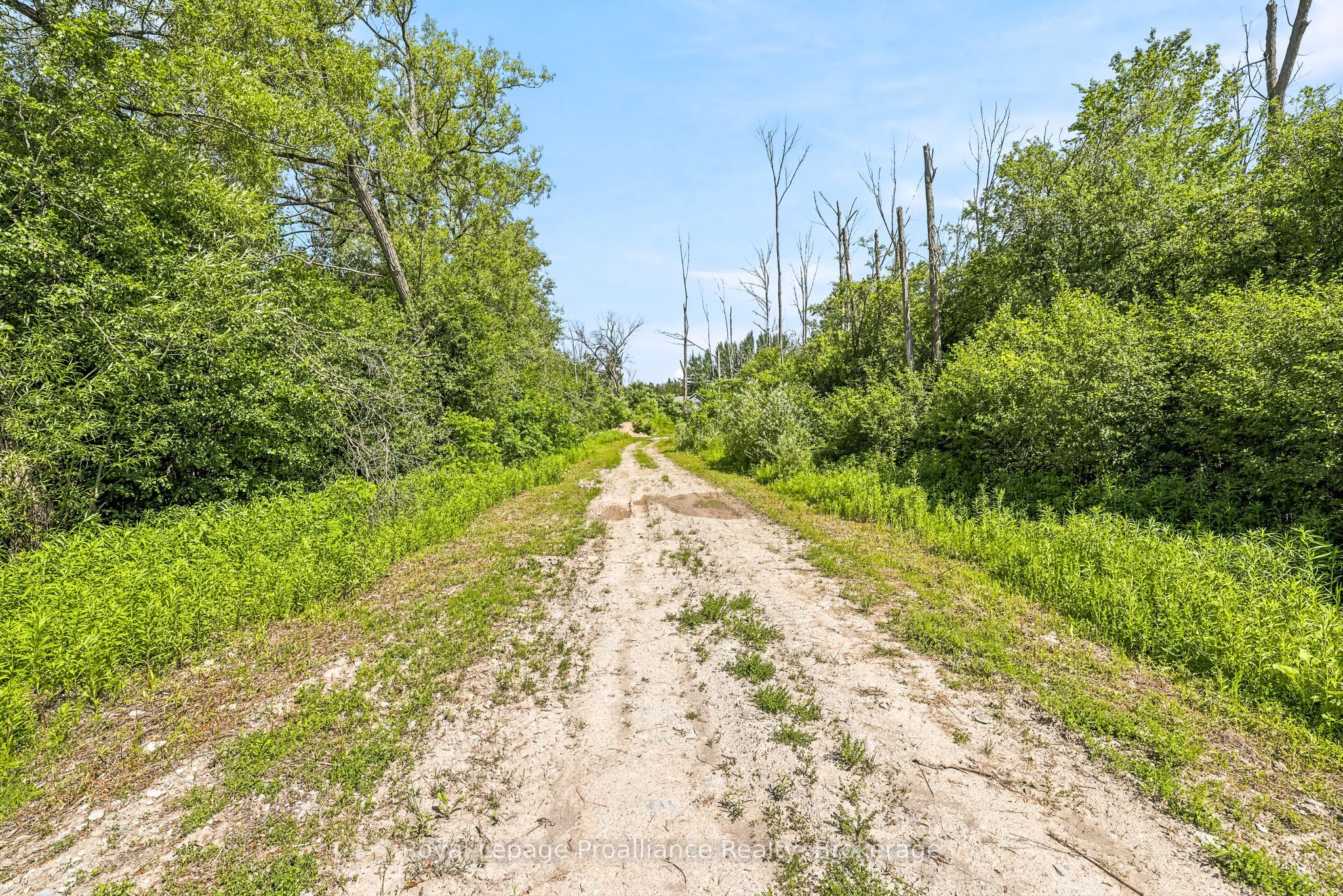 00 Bickle Hill Road Property Photo 19