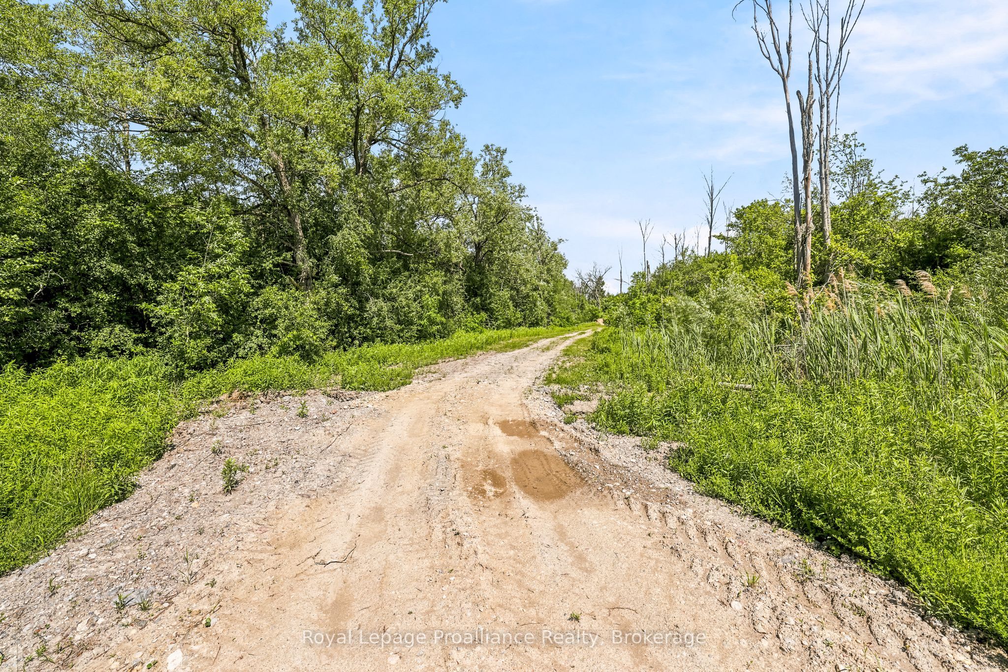 00 Bickle Hill Road Property Photo 22