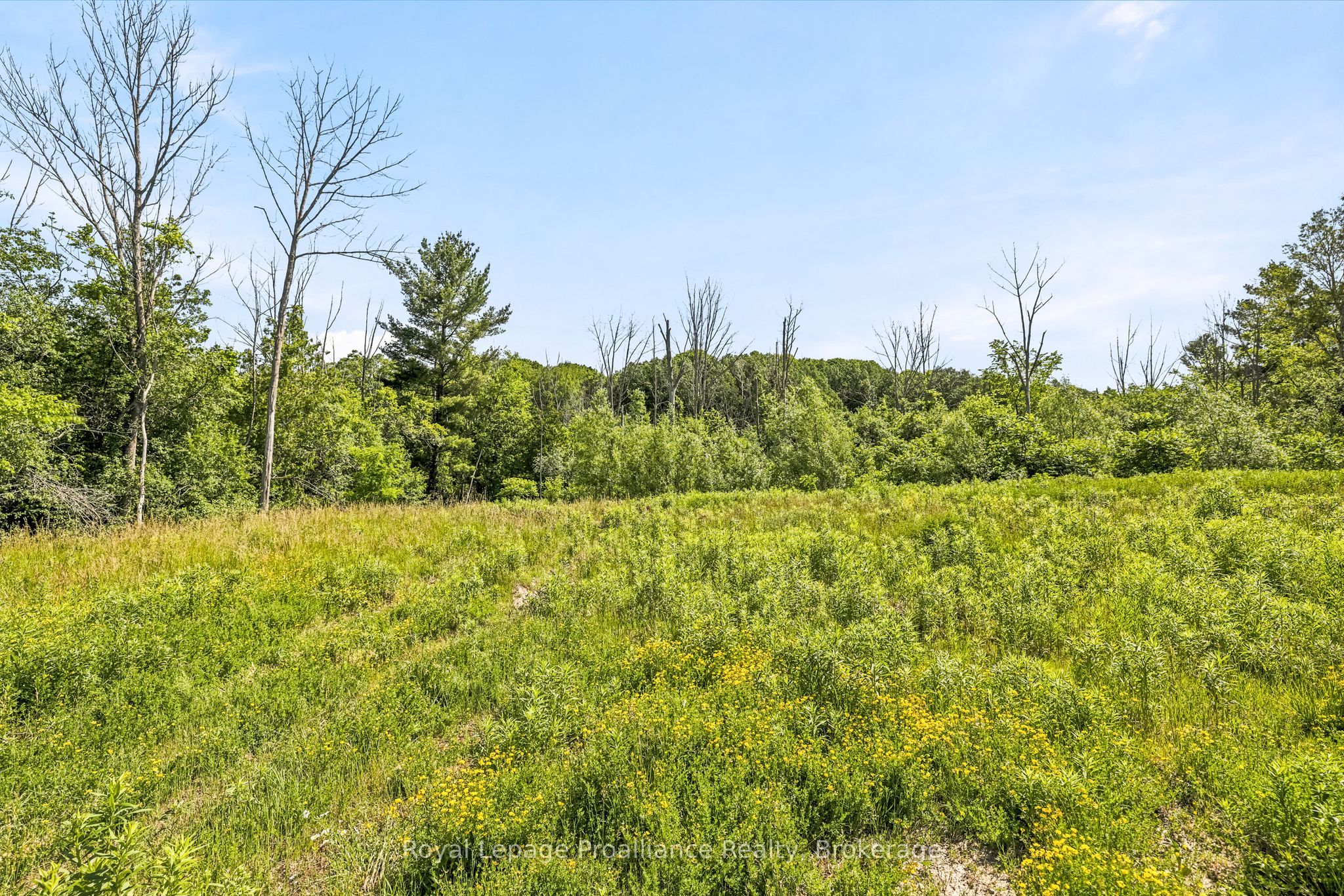 00 Bickle Hill Road Property Photo 29