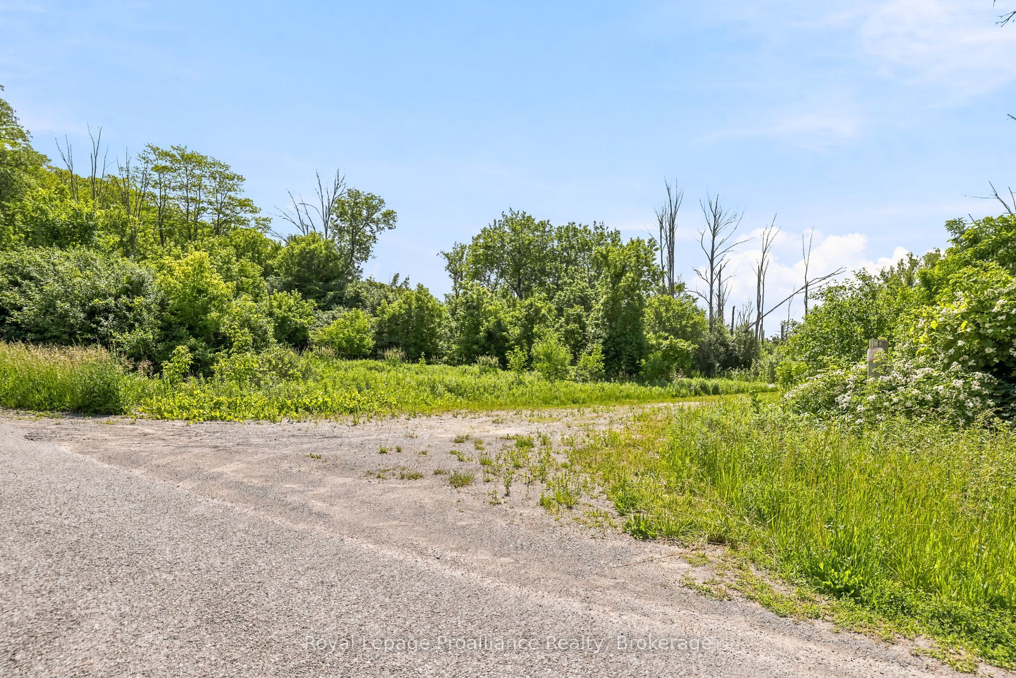 00 Bickle Hill Road Property Photo 31