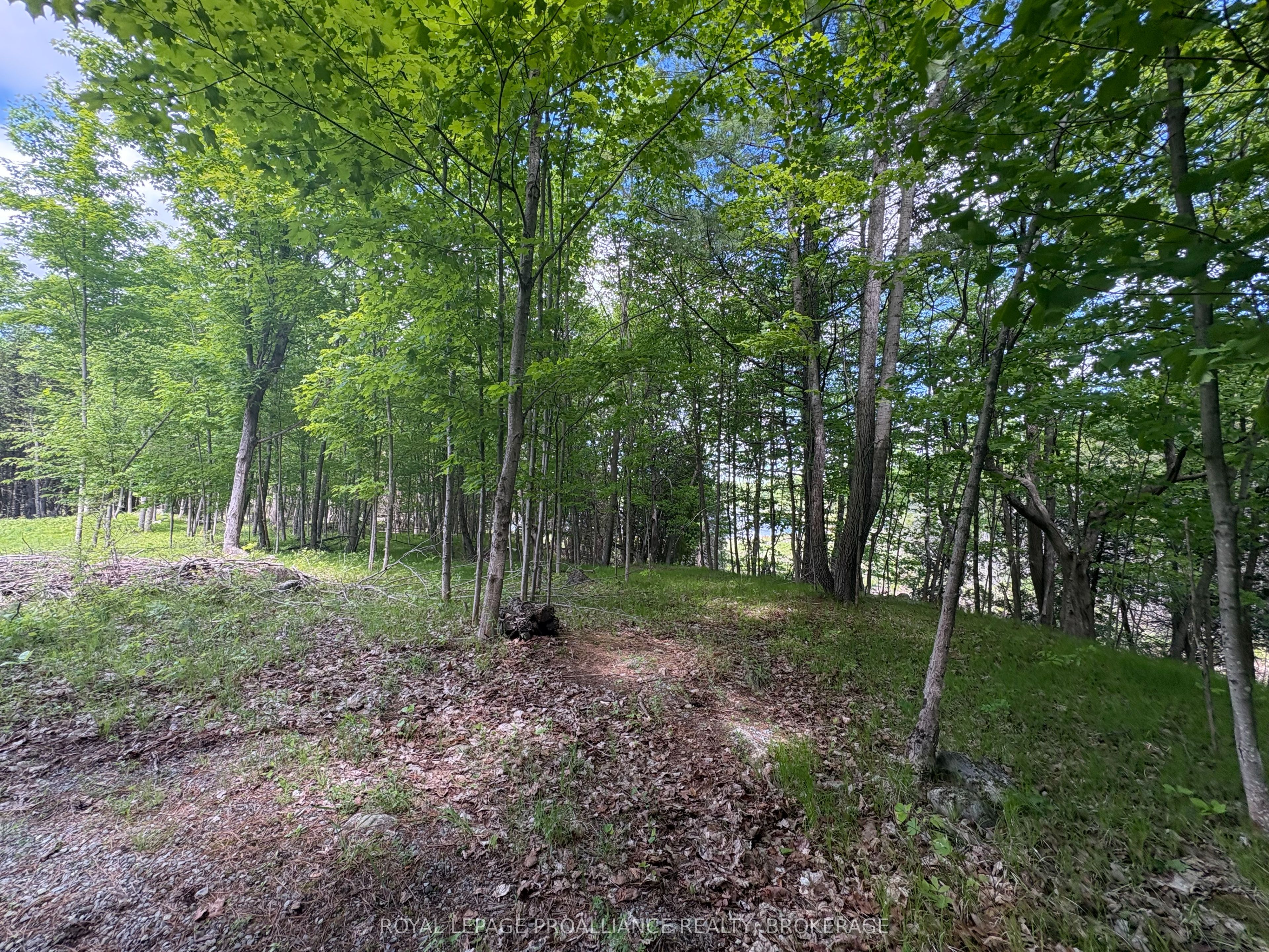 2220 Silver Rock Lane Property Photo 5