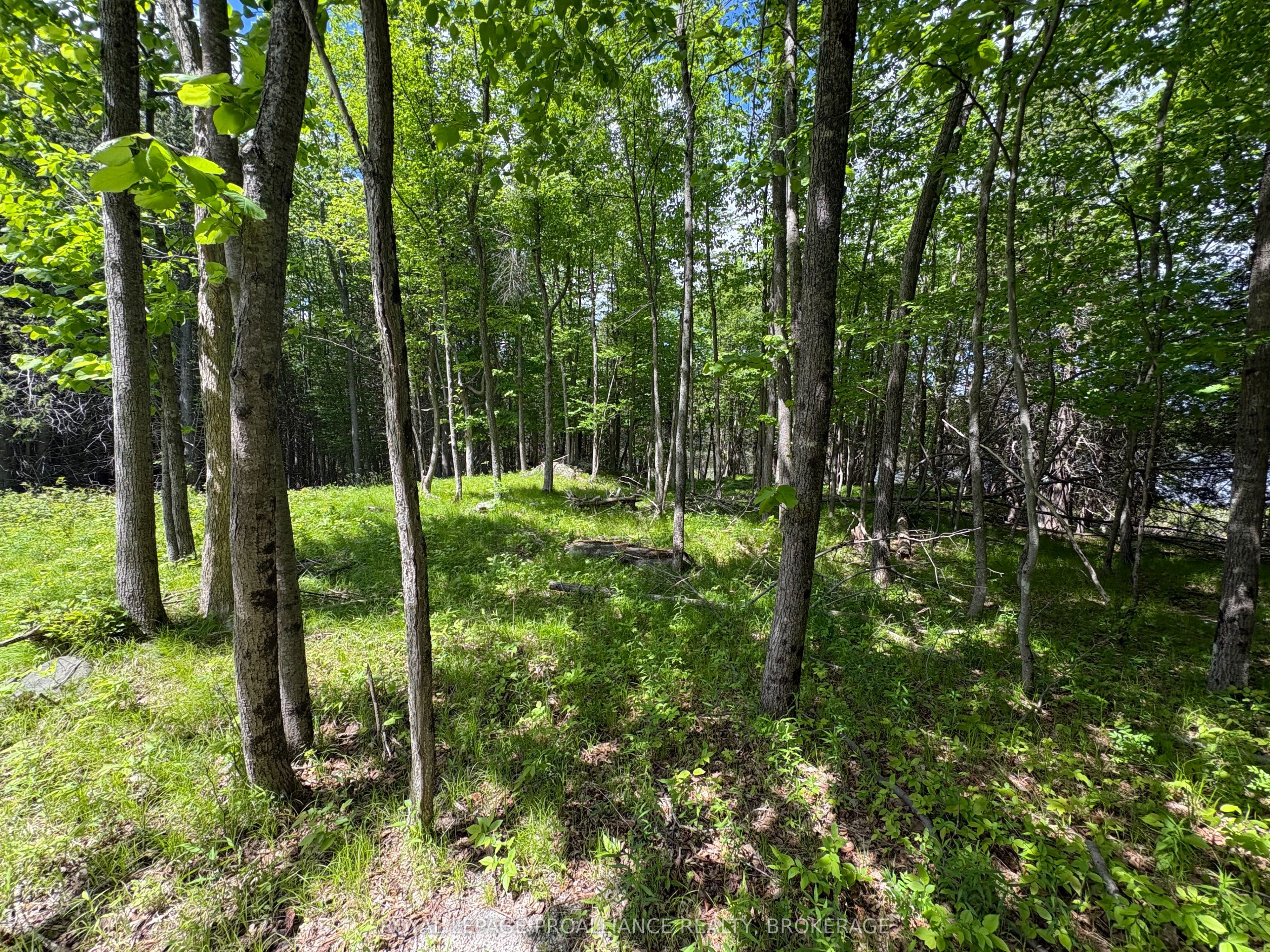 2220 Silver Rock Lane Property Photo 9