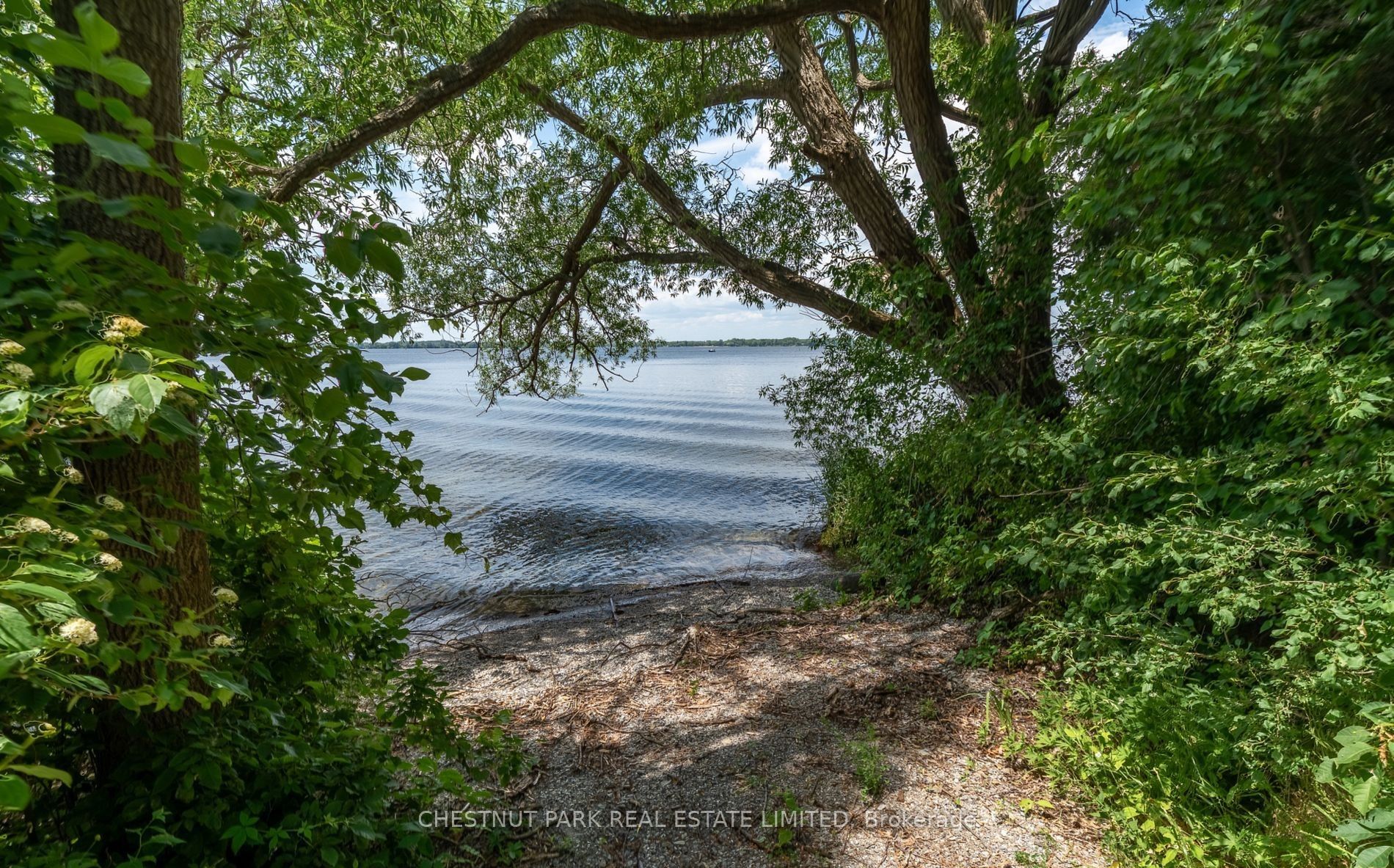 1472 County Rd 7 Road Property Photo 47