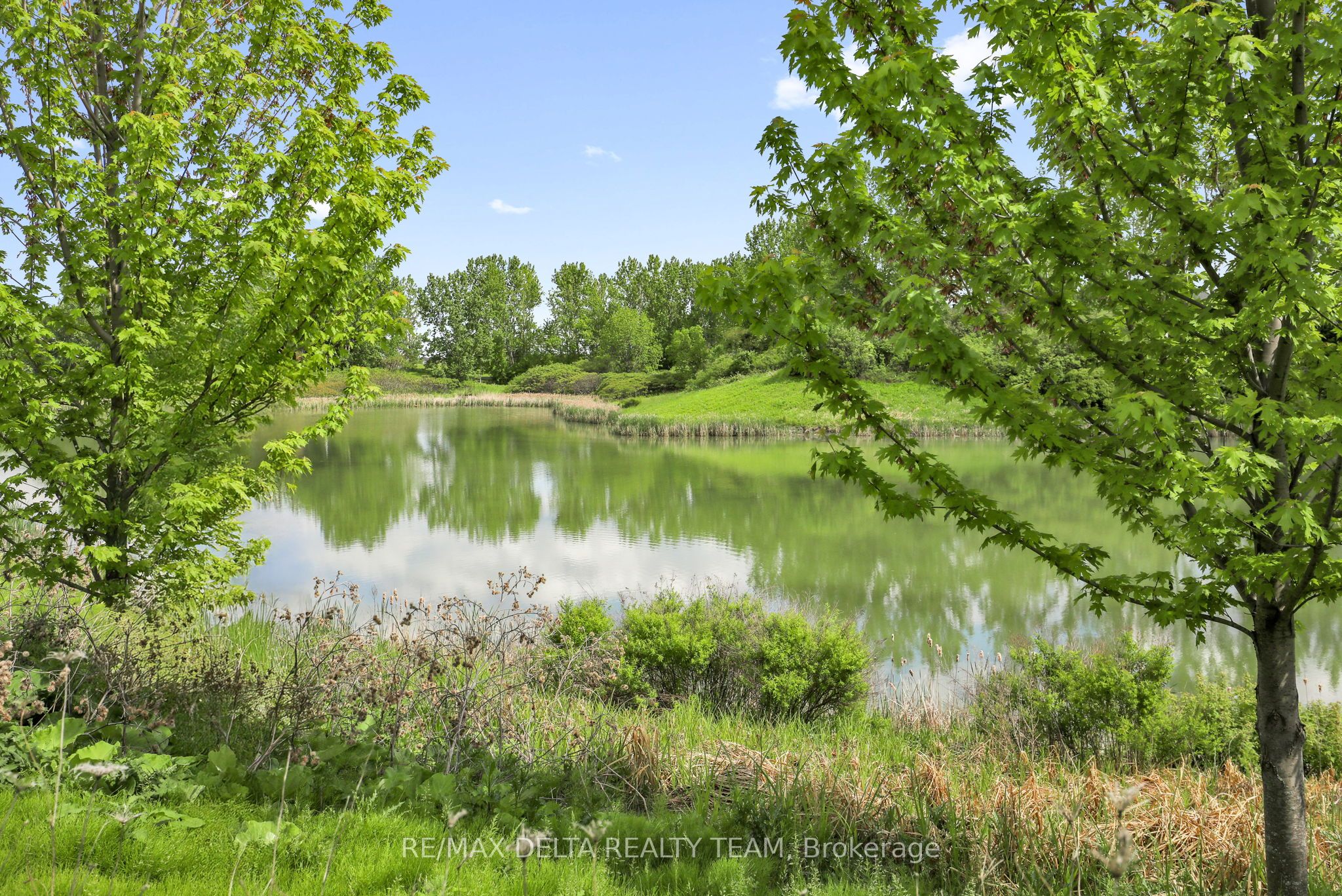 607 Prominence Way Property Photo 34