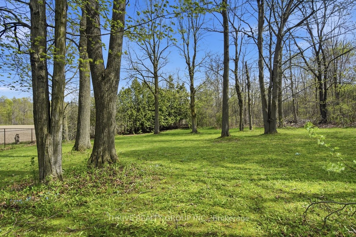 52 Wynfield Lane Property Photo 45