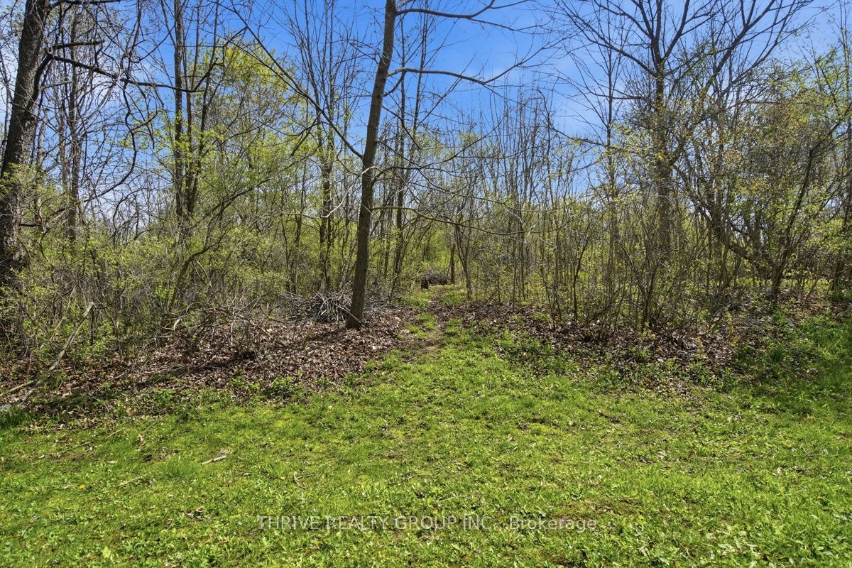 52 Wynfield Lane Property Photo 46