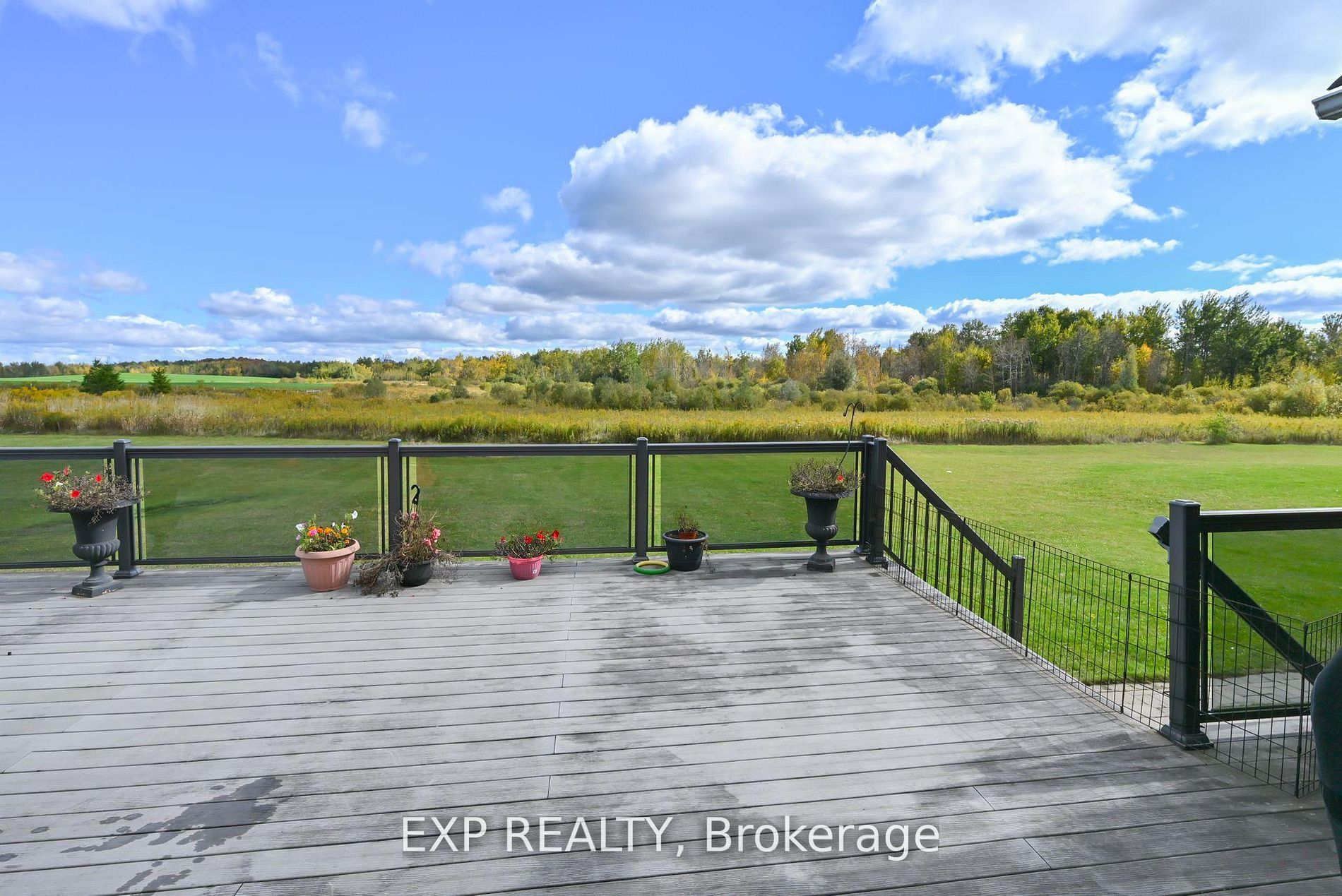434499 4th Line Property Photo 20