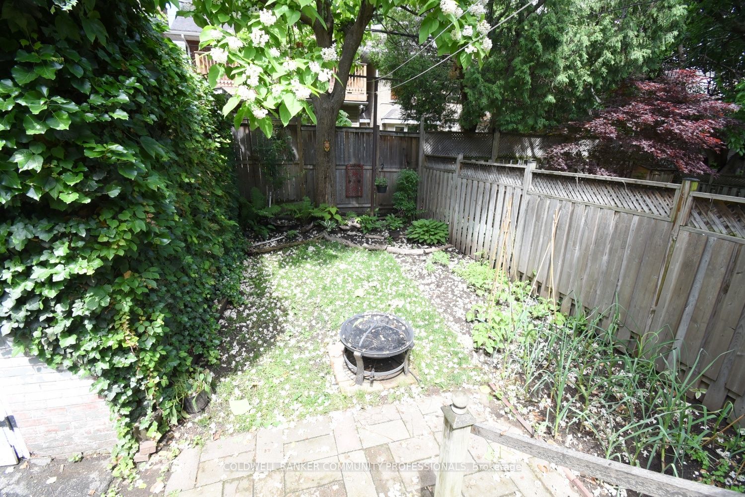 28 St Clair Avenue Property Photo 45