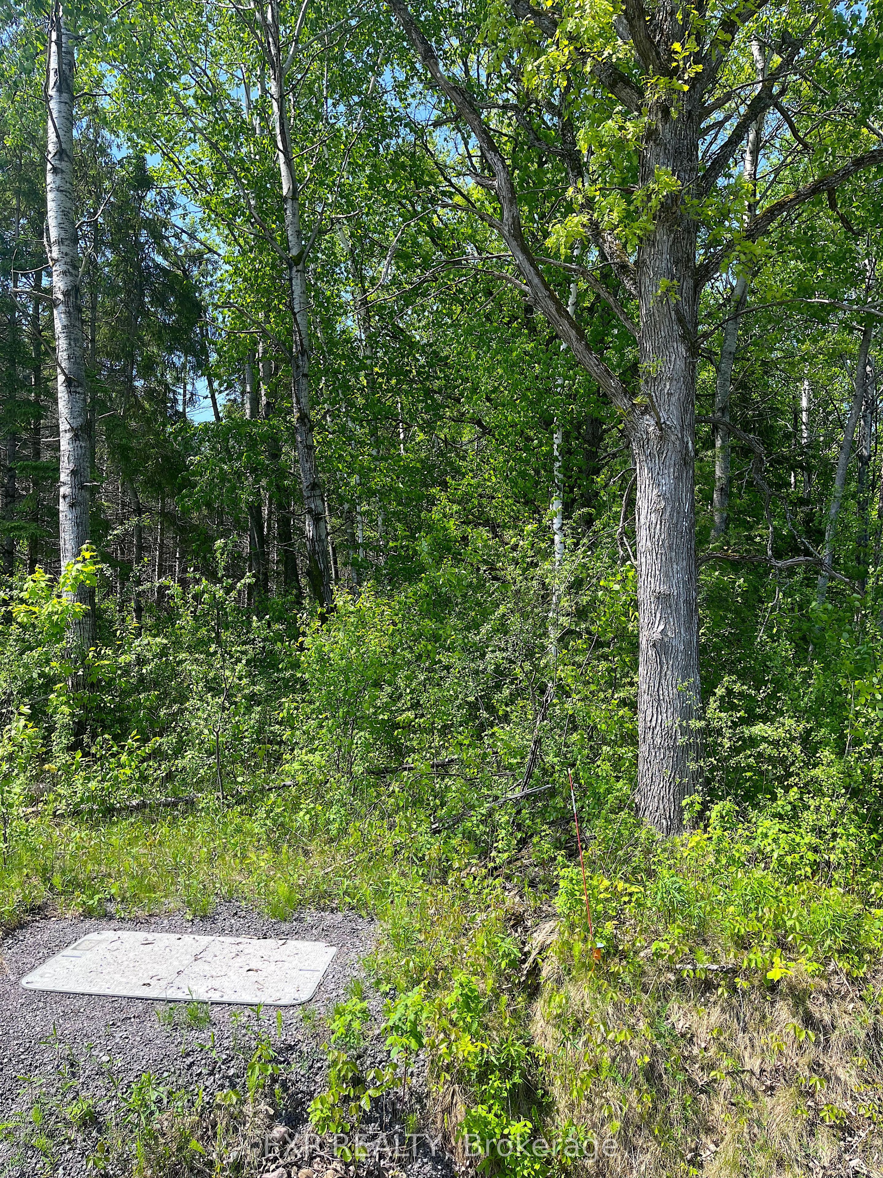 00 Johnston Road Property Photo 4